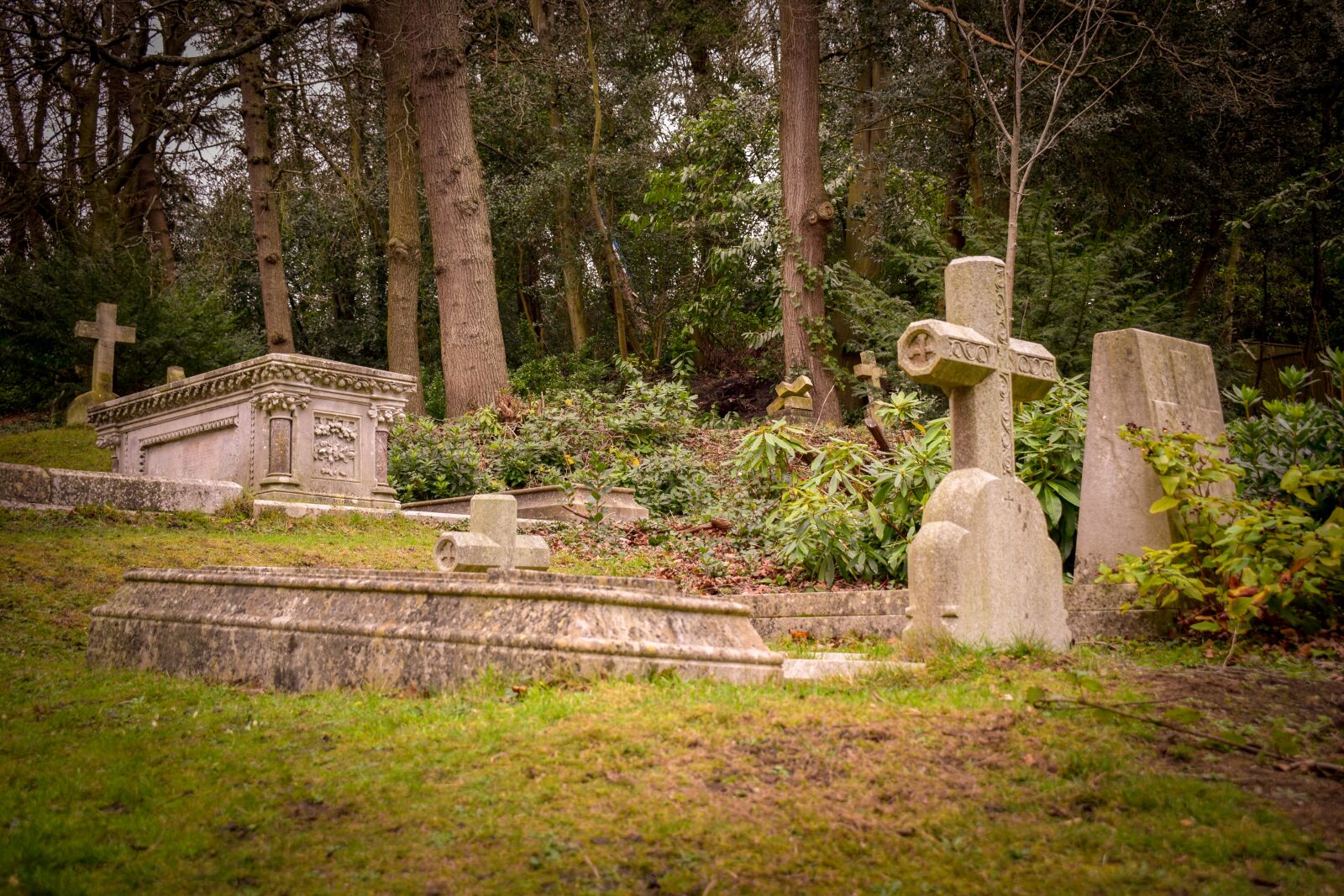 Nikon D3300 sample photo. Cemetery, old, cross photography
