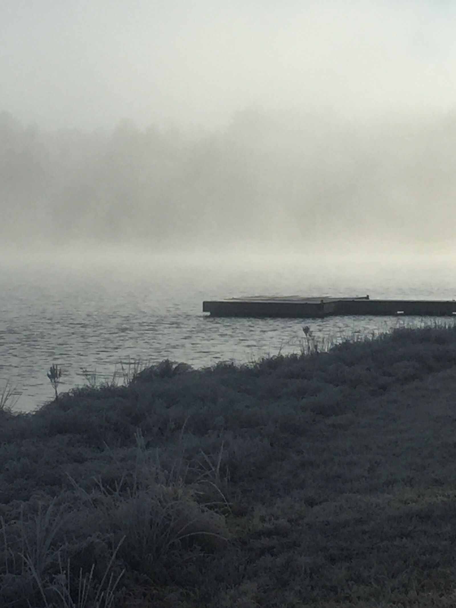 iPhone 6 Plus back camera 4.15mm f/2.2 sample photo. Lakeside photography