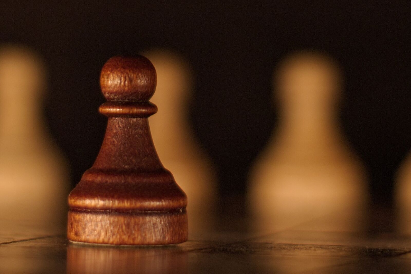 Canon EOS 650D (EOS Rebel T4i / EOS Kiss X6i) sample photo. Chess, bauer, play photography