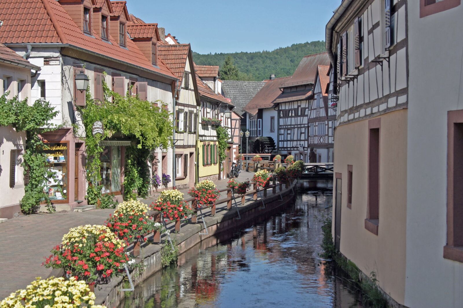 Canon EOS 300D (EOS Digital Rebel / EOS Kiss Digital) sample photo. Truss, village street, annweiler photography