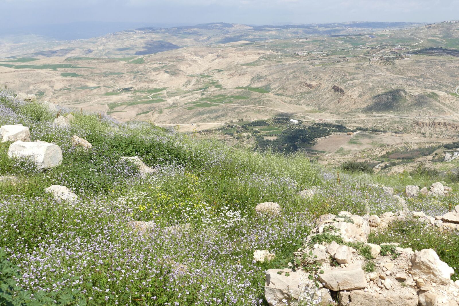 Panasonic Lumix DMC-FZ1000 sample photo. Jordan, nebo, mountain photography
