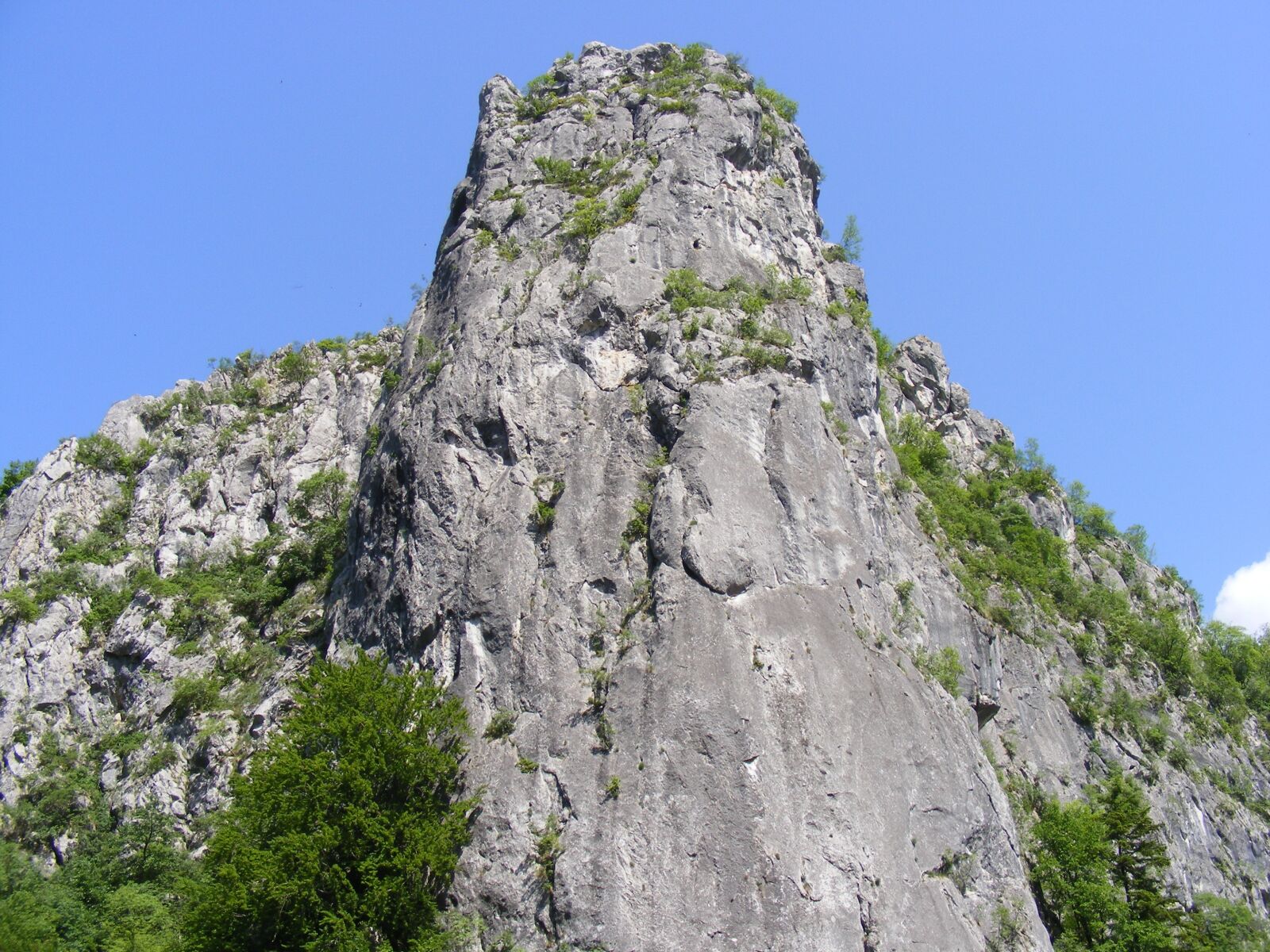 Fujifilm FinePix S5700 S700 sample photo. Cerna, godeanu, mountains photography