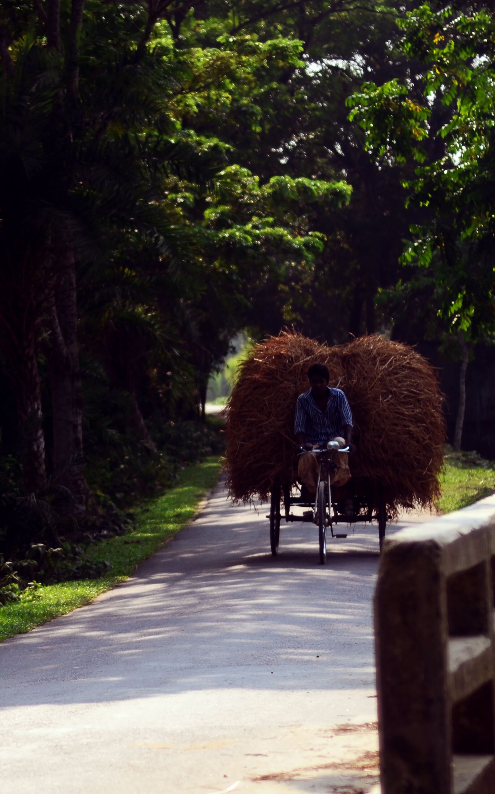 Nikon D7000 sample photo. Road, bangladesh, mymensingh photography