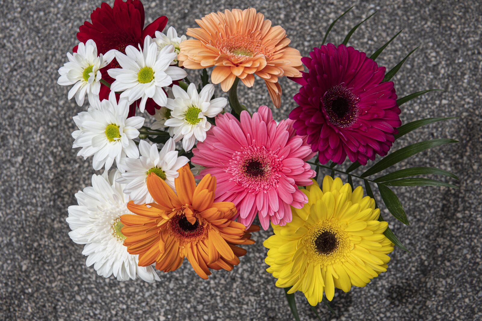 30mm F1.4 DC DN | Contemporary 016 sample photo. Flowers, bouquet, petals photography