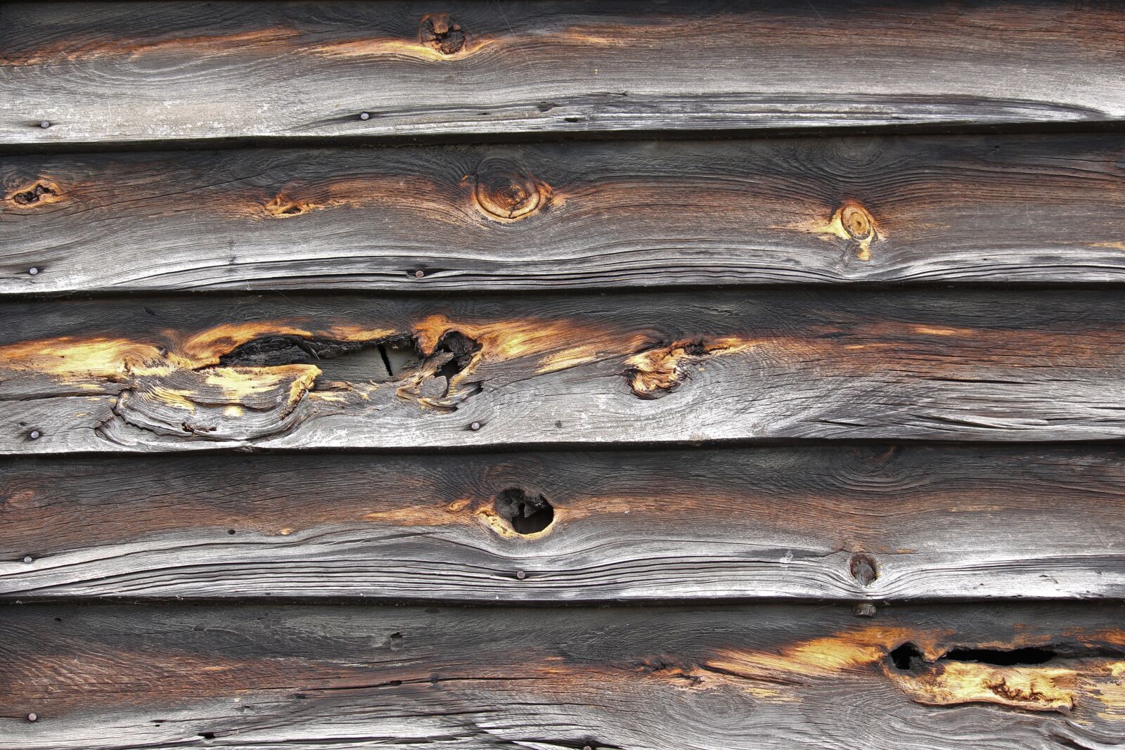 Canon EF-S 55-250mm F4-5.6 IS STM sample photo. Background, wood, texture photography