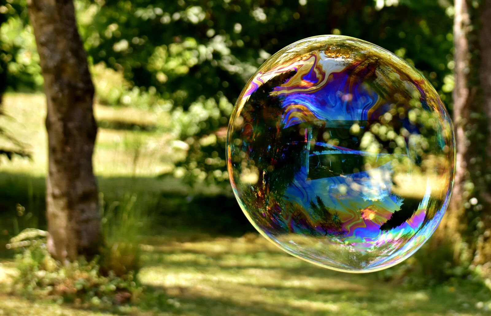 Nikon D7200 sample photo. Soap bubble, huge, large photography