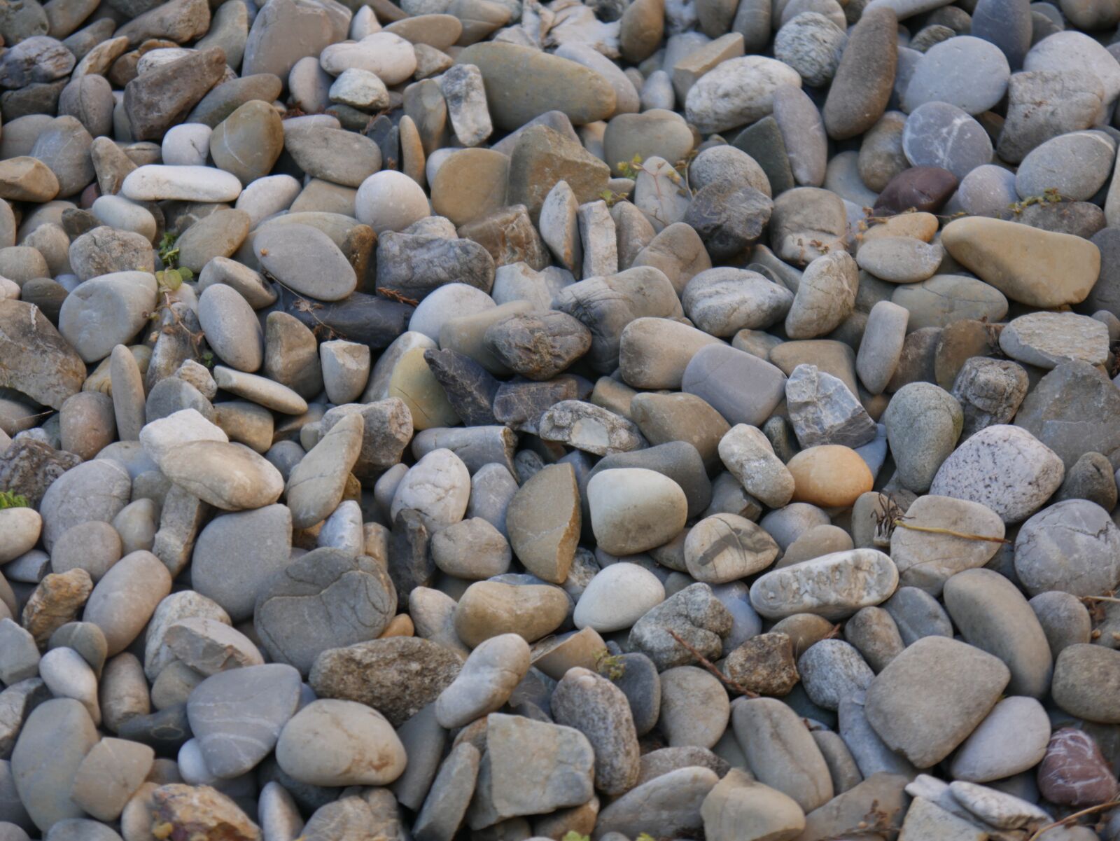Panasonic DMC-G70 sample photo. Stones, pebble, pebbles photography
