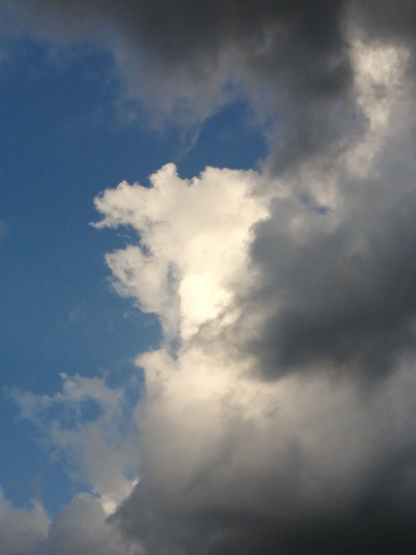 HUAWEI P30 LITE sample photo. Cloud, sky, firmament photography