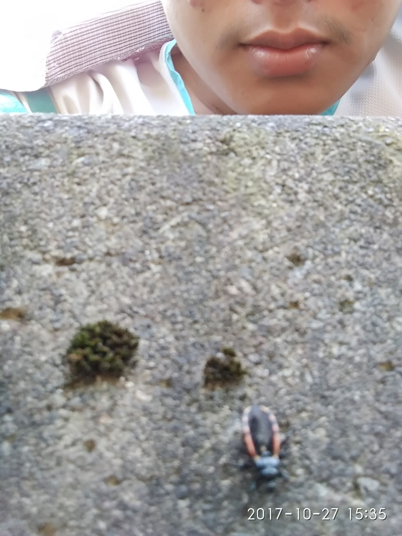 Xiaomi Redmi Note 4 sample photo