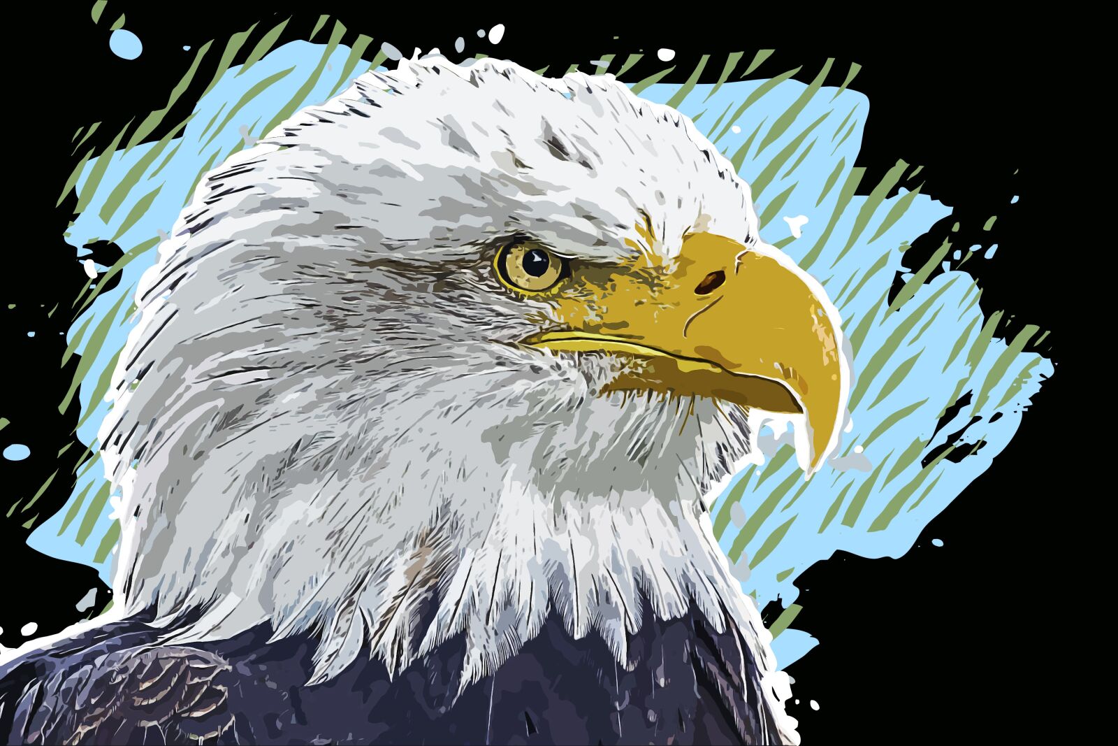 Panasonic Lumix DMC-FZ1000 sample photo. Bald eagle, head, animal photography