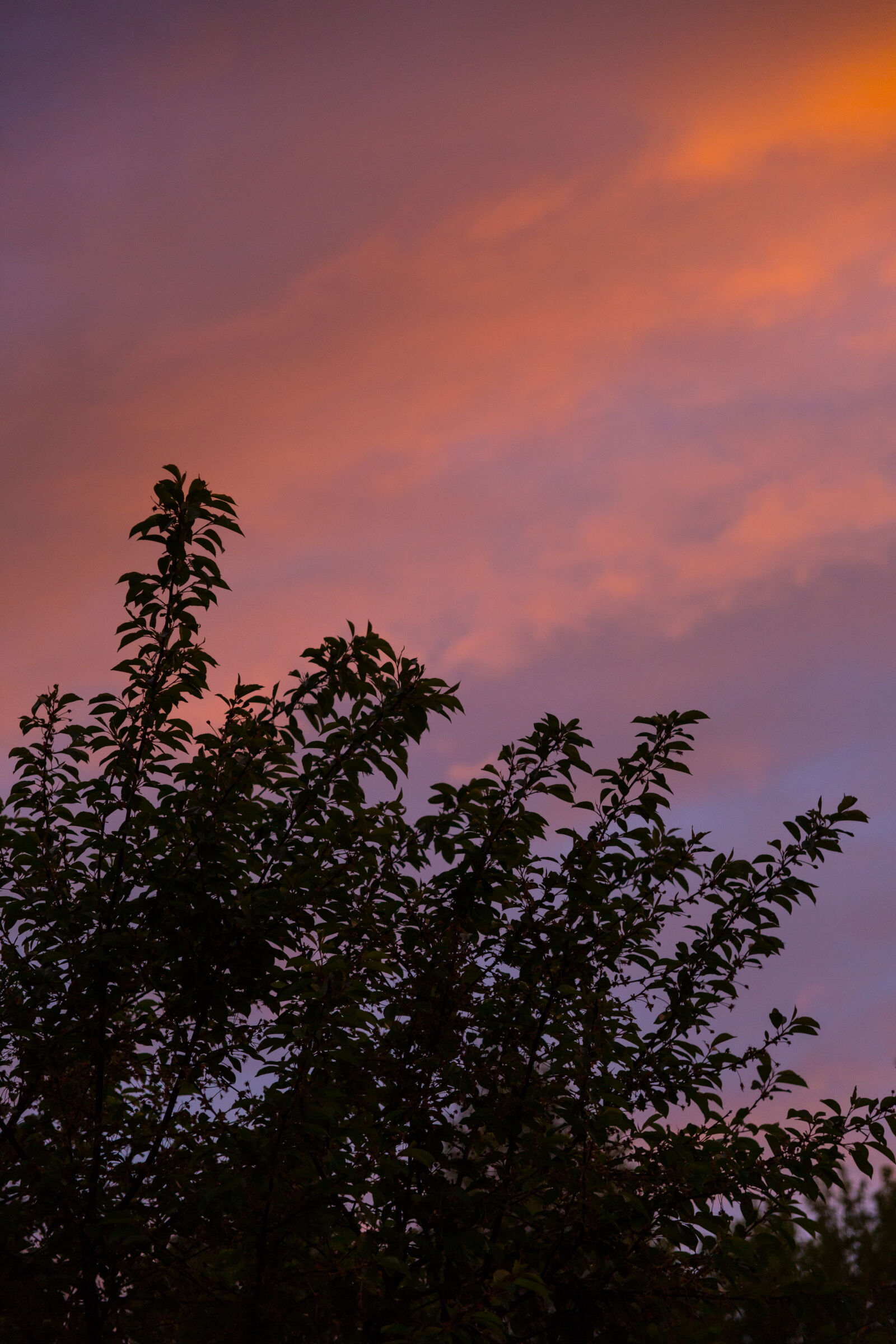Canon EOS 5D Mark III sample photo