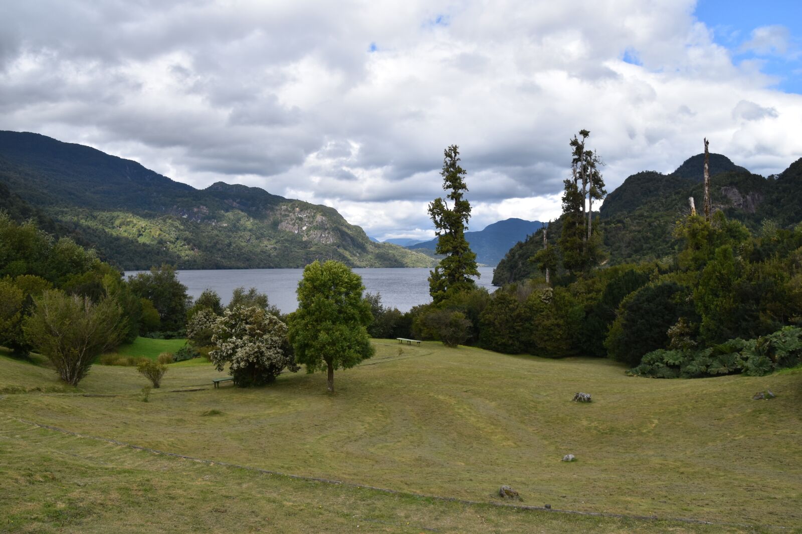 Nikon D5600 sample photo. Chacabuco, chile, nature photography