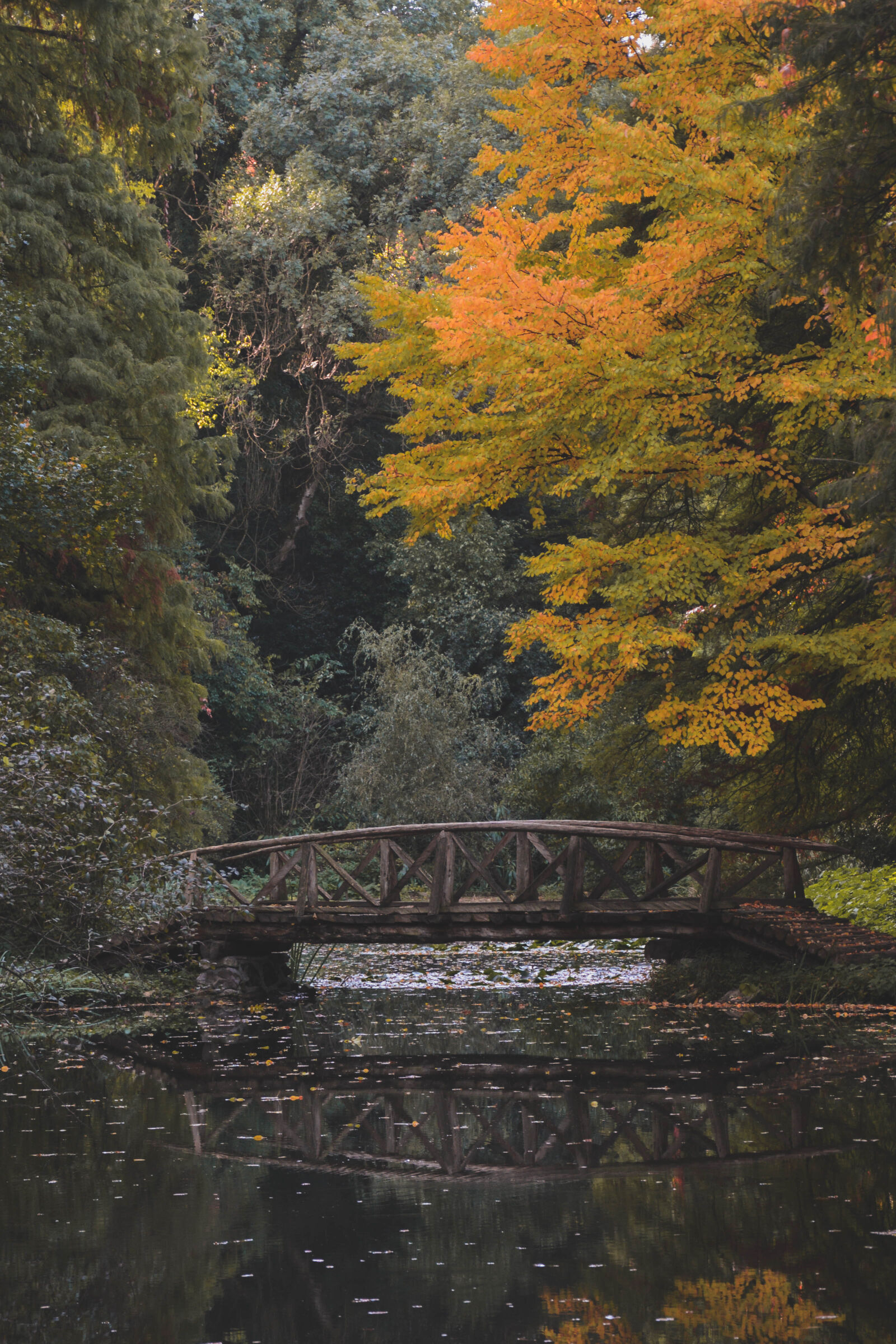 Nikon D7100 sample photo. Autumn, bridge, park, trees photography