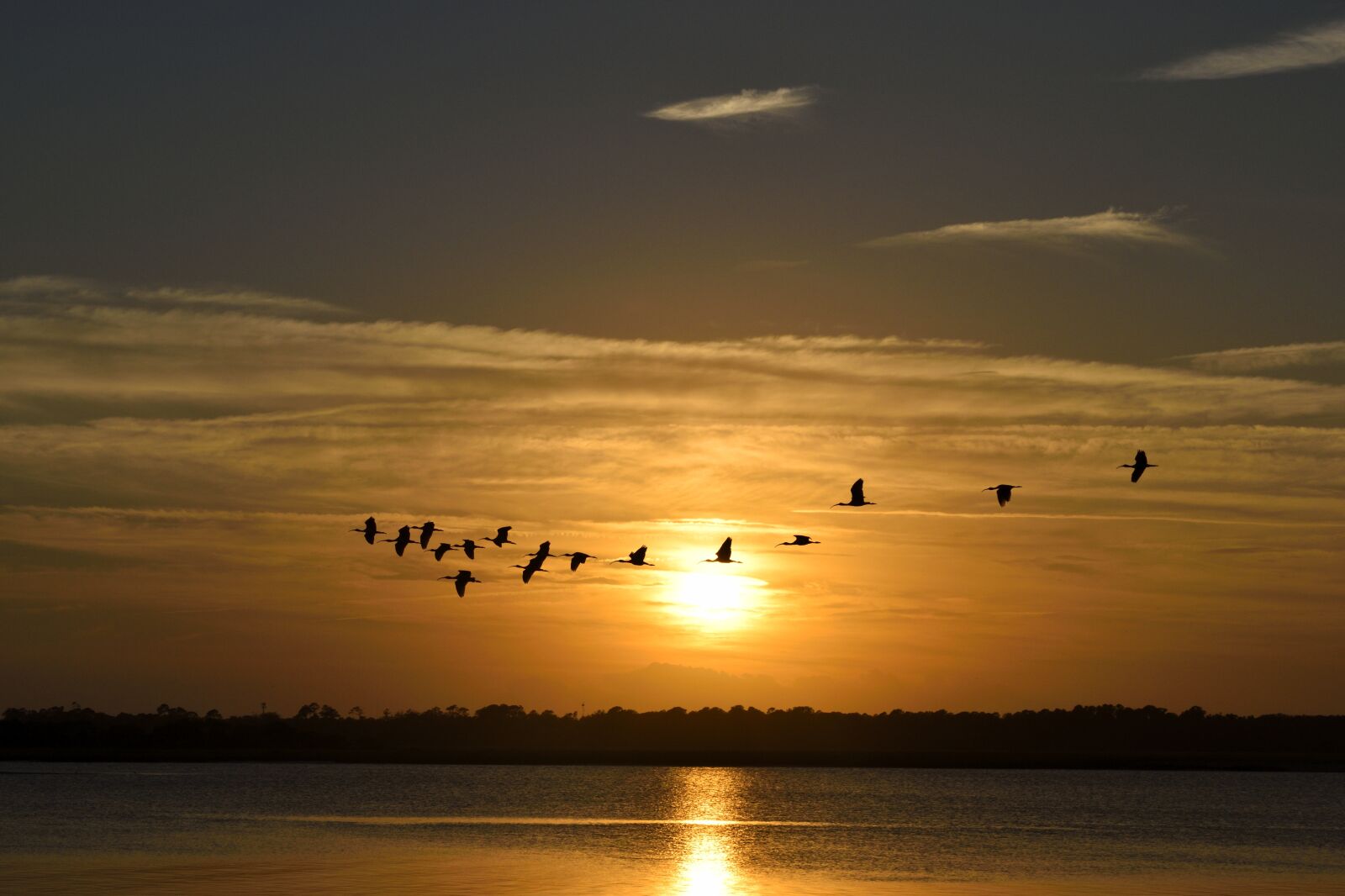 Nikon D3300 sample photo. Sunset, florida, birds photography