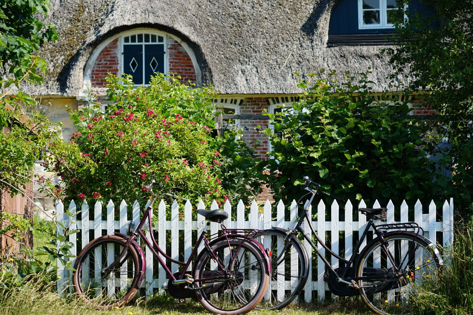 Sony a6500 sample photo. Fanø, bicycles, romantic photography