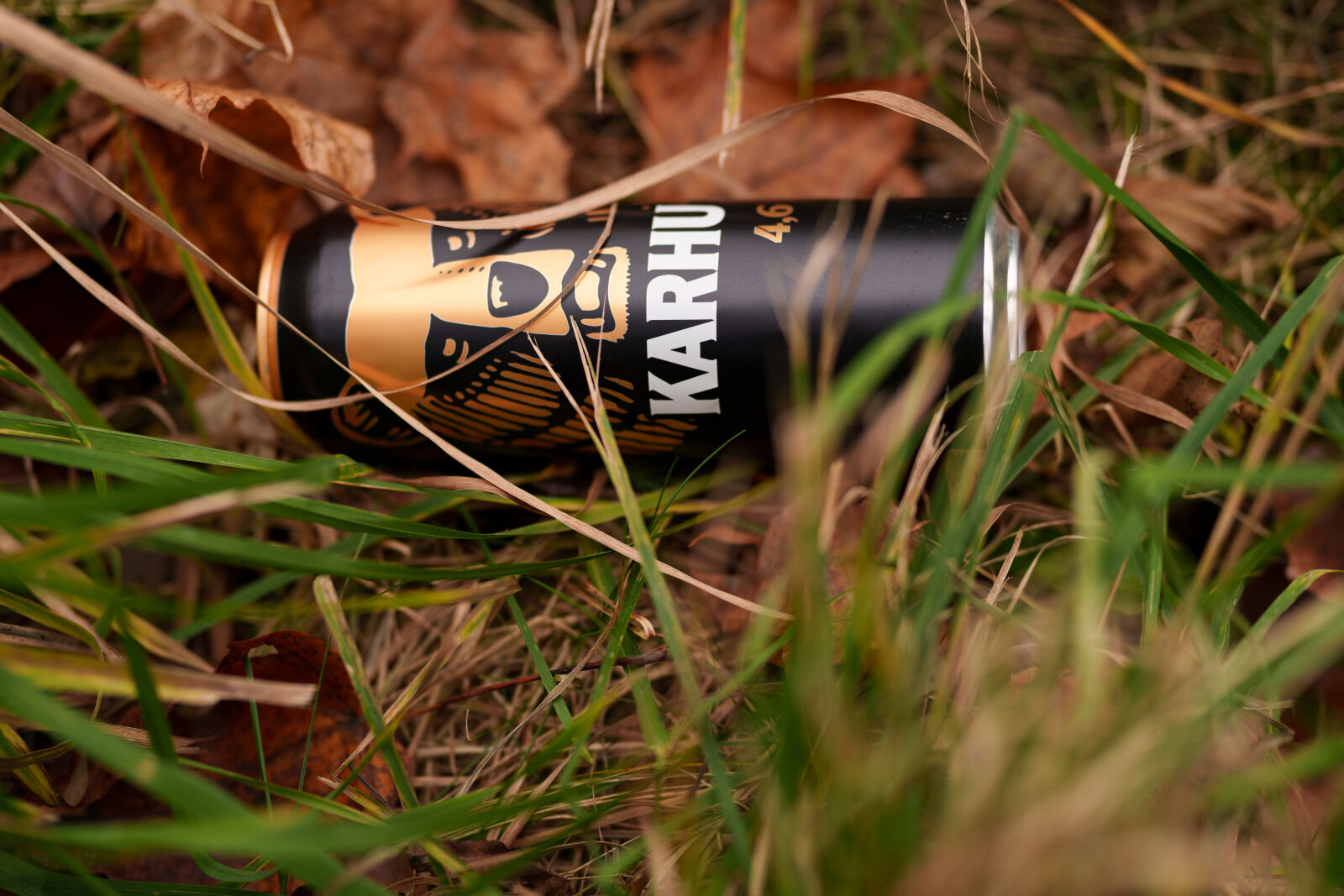 Sony FE 85mm F1.4 GM II sample photo. Bear beer litter photography