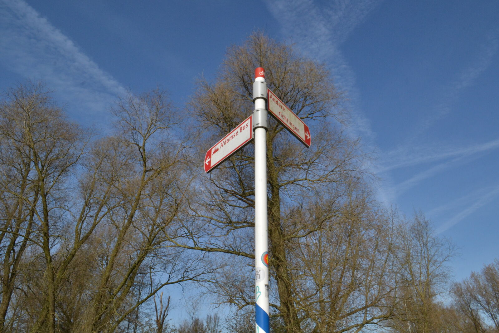 Nikon D3100 sample photo