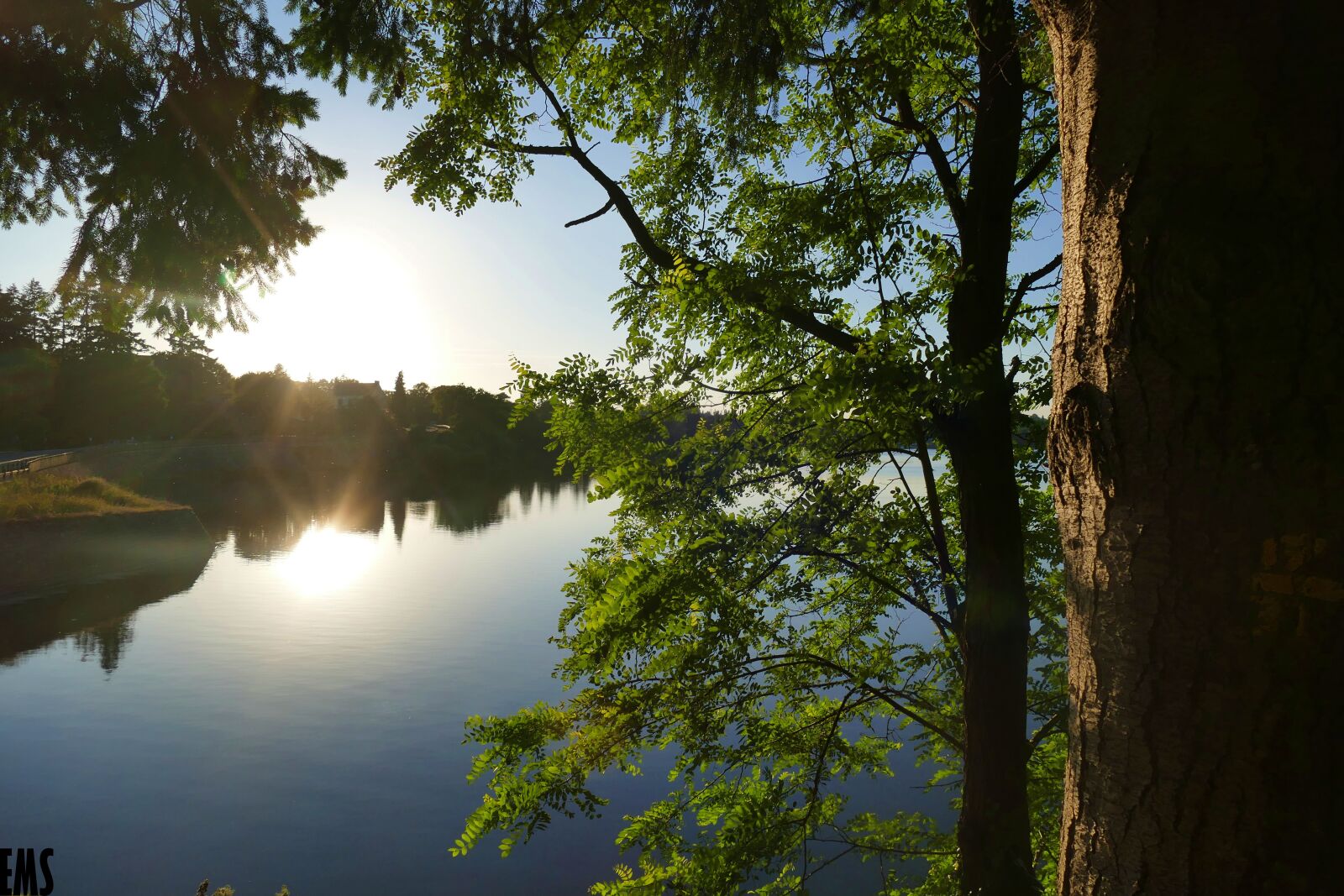 Panasonic Lumix DMC-FZ1000 sample photo. Lake, tree, water photography