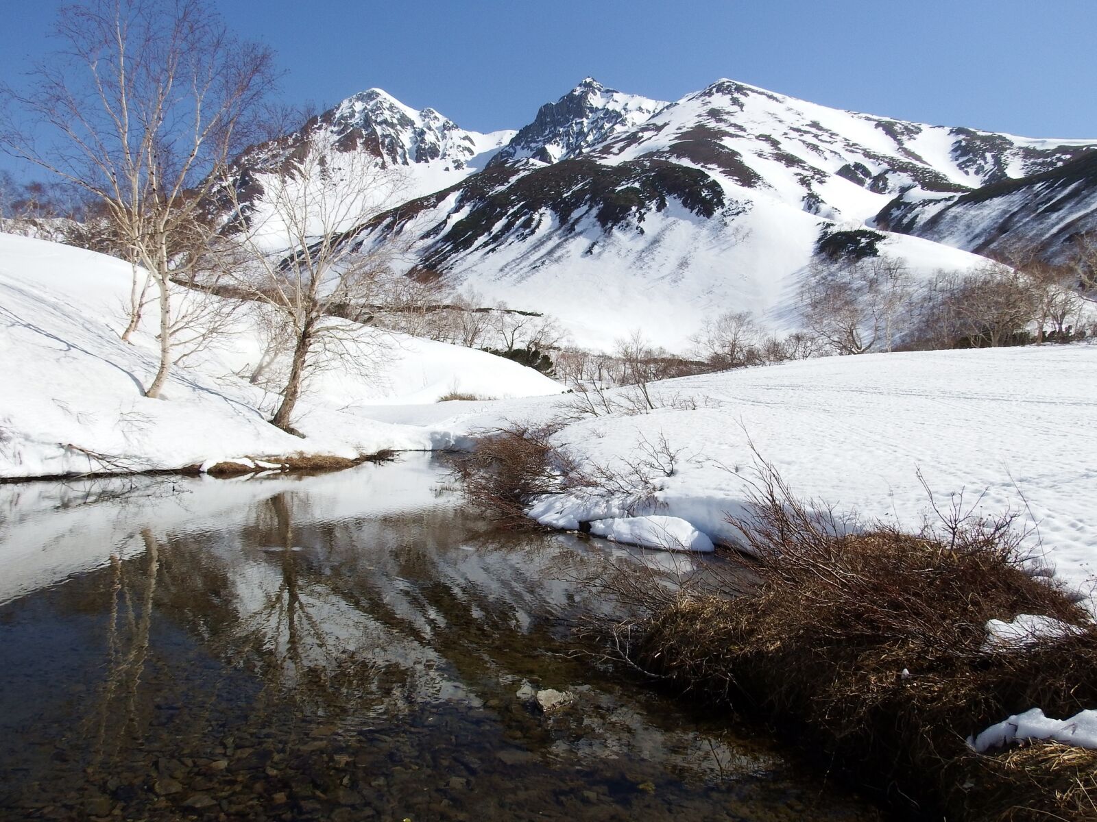 Fujifilm FinePix S1 sample photo. Mountains, meltwater, landscape photography