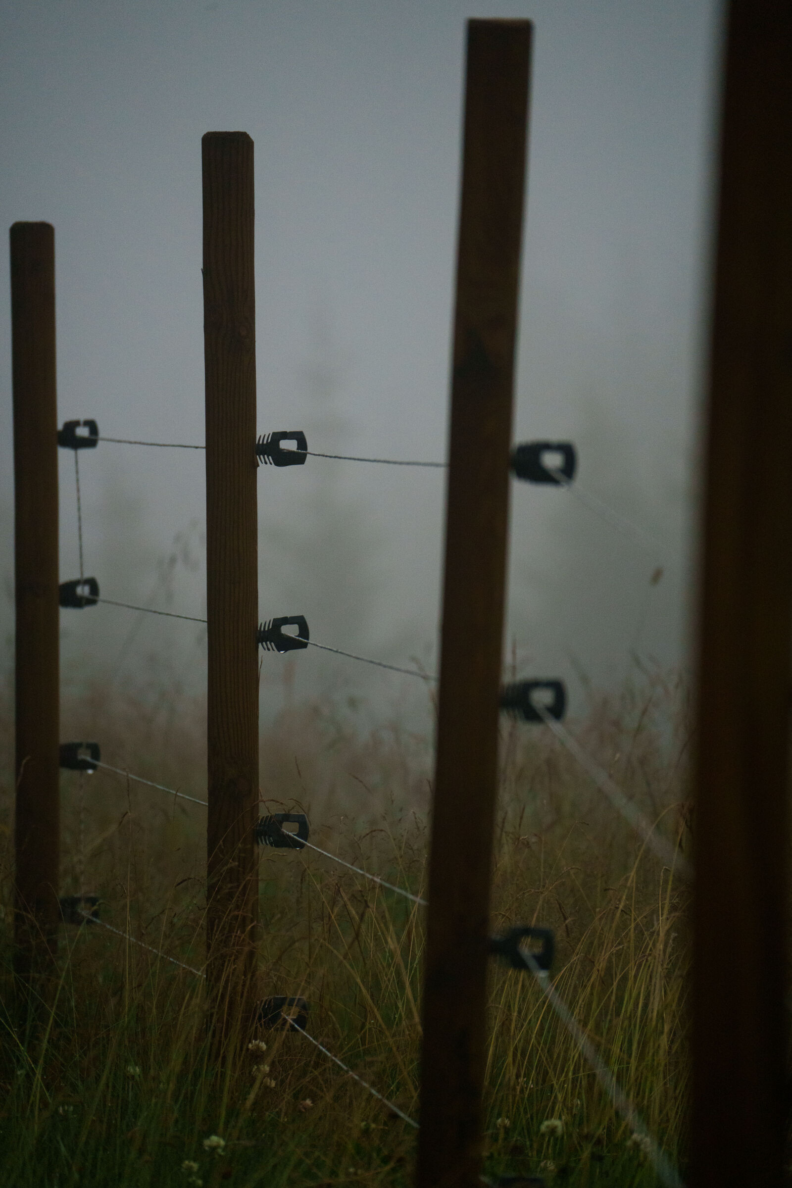Sony a7R V sample photo. Misty fence photography