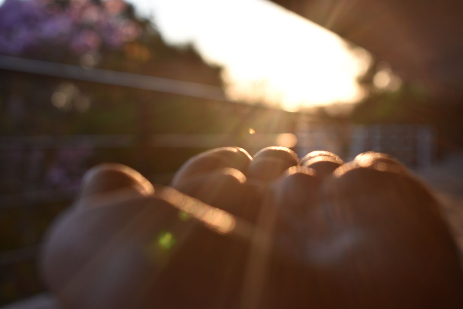Nikon D5600 sample photo. Atardecer, luz, sol photography