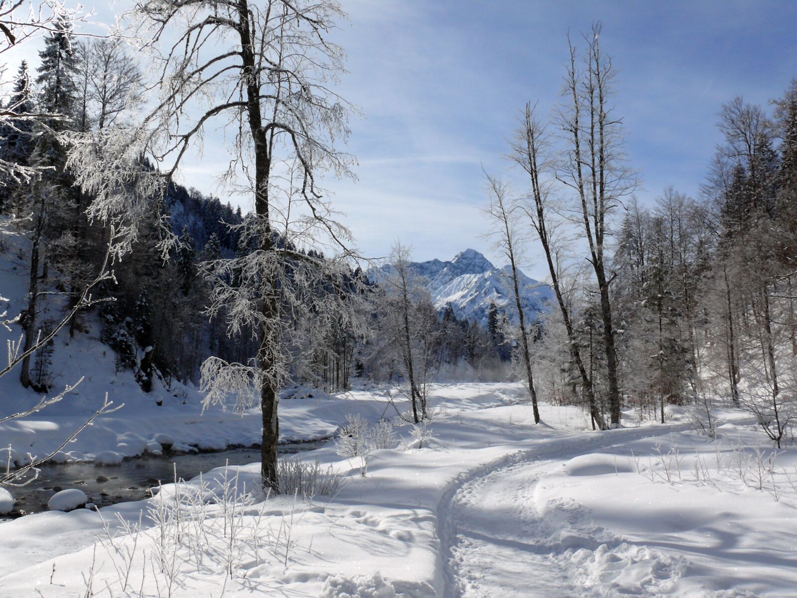 Leica V-LUX 1 sample photo. Ice, eiskristalle, winter photography
