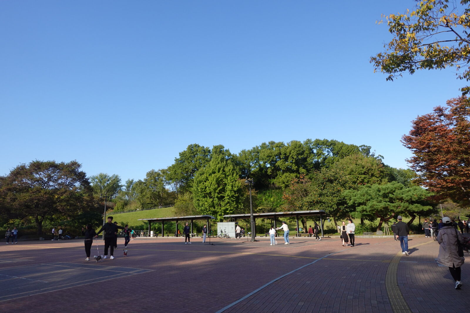 Sony ZV-1 sample photo