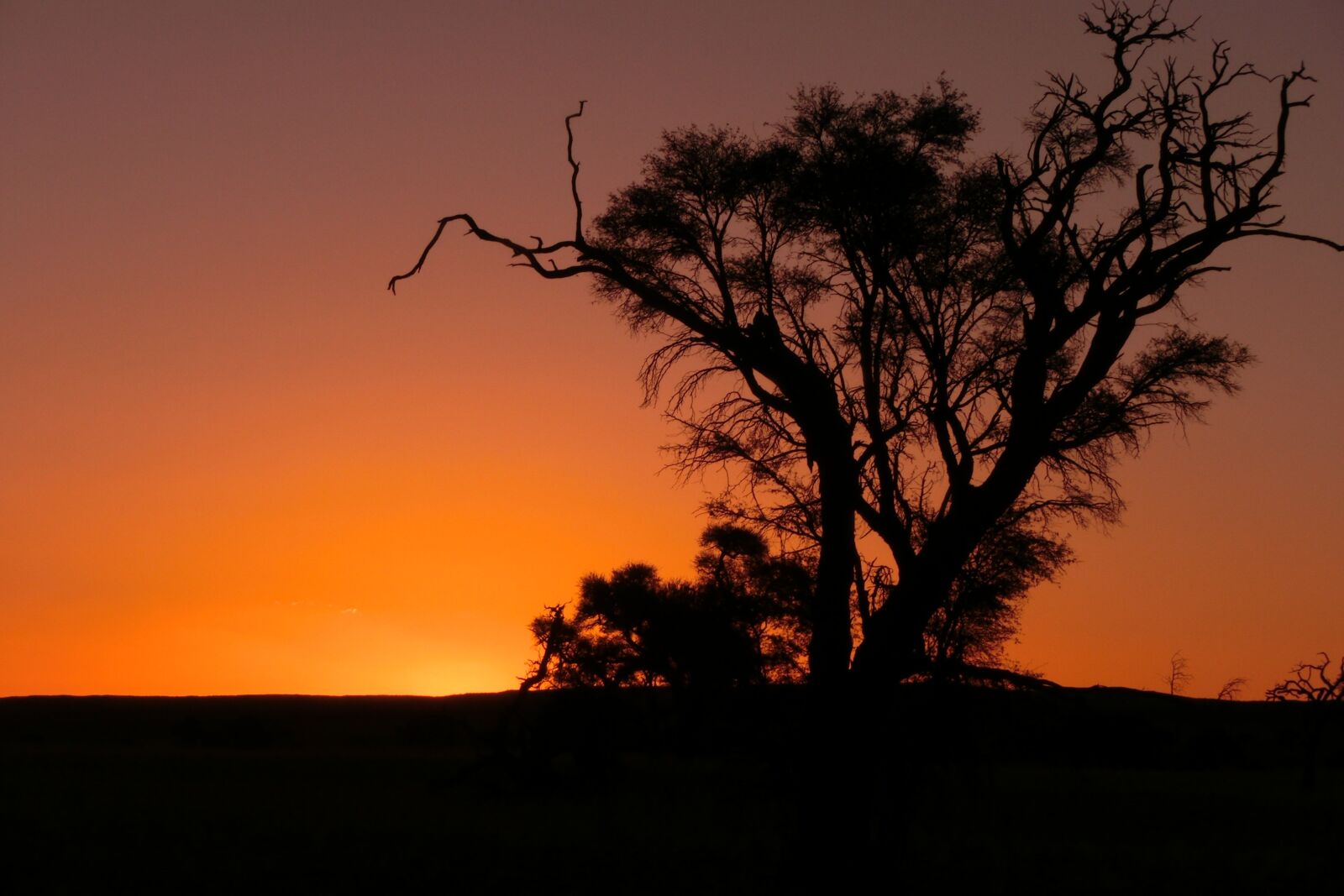 CASIO EX-ZR310 sample photo. Africa, sunset, namibia photography