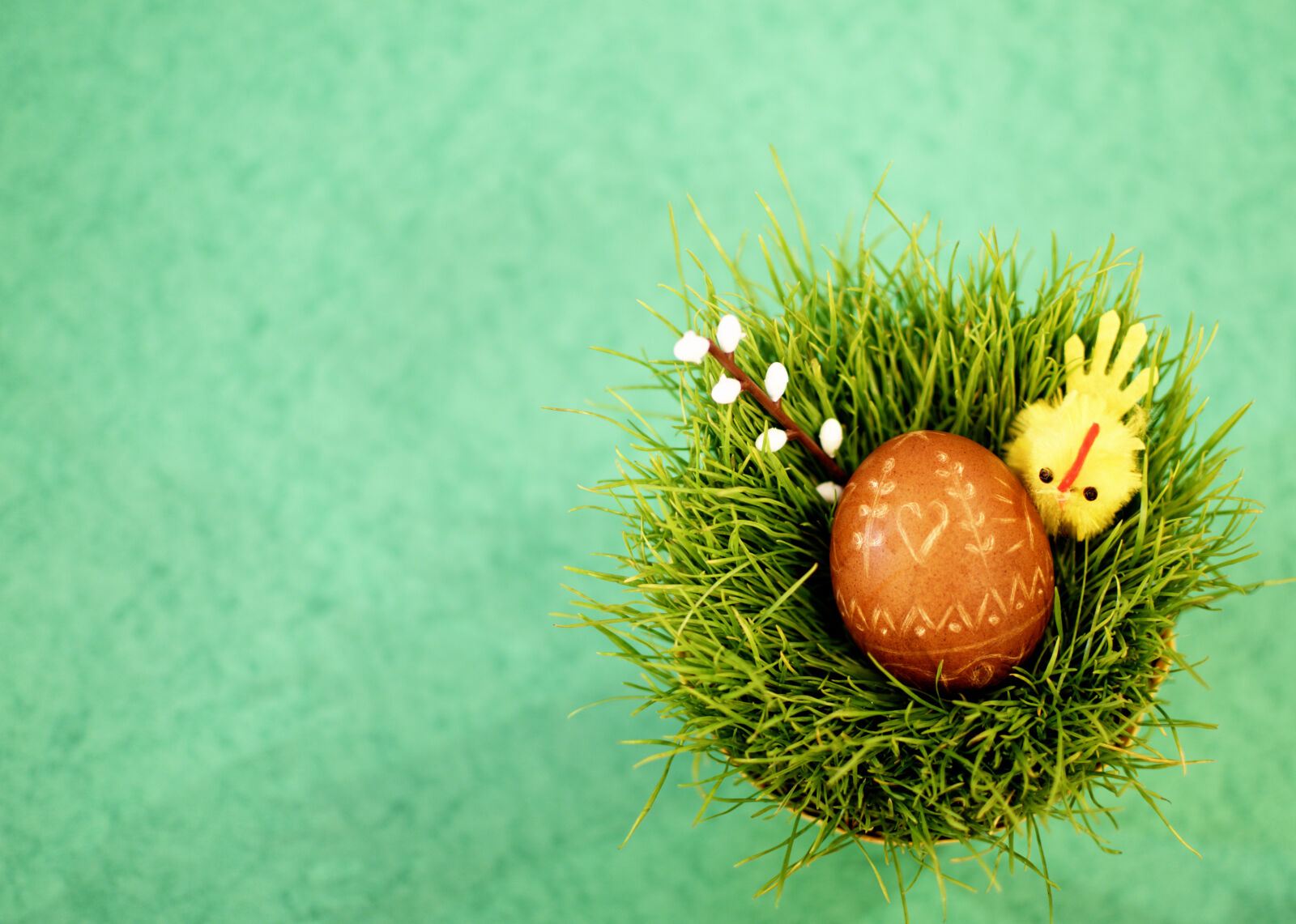 Nikon D3200 + Nikon AF-S DX Nikkor 35mm F1.8G sample photo. Catkin, chicken, easter, easter photography