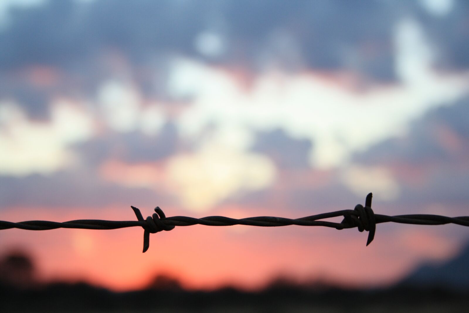 Canon EOS 1000D (EOS Digital Rebel XS / EOS Kiss F) sample photo. Sunset, barbed wire, fence photography