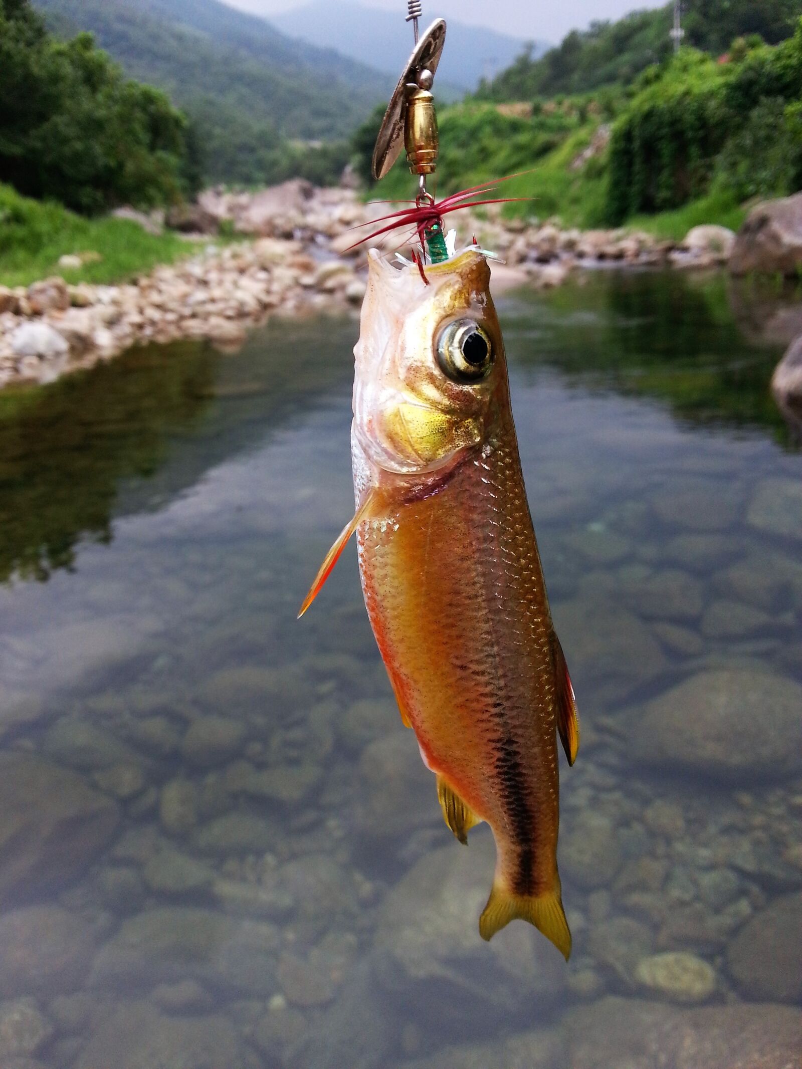 Samsung Galaxy Note2 sample photo. Lure, valley, paradise city photography