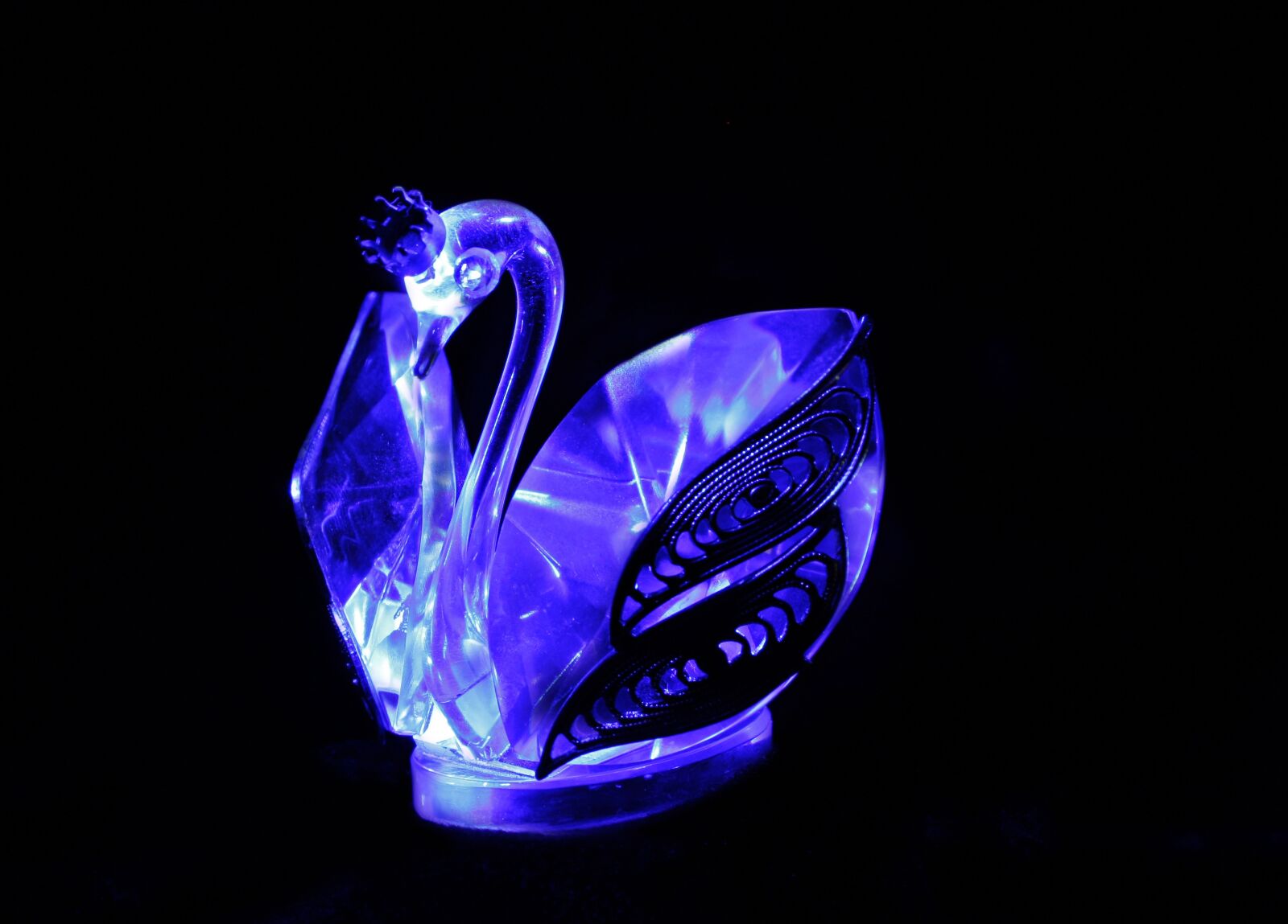 Canon EOS 1000D (EOS Digital Rebel XS / EOS Kiss F) sample photo. Swan, glass, blue photography