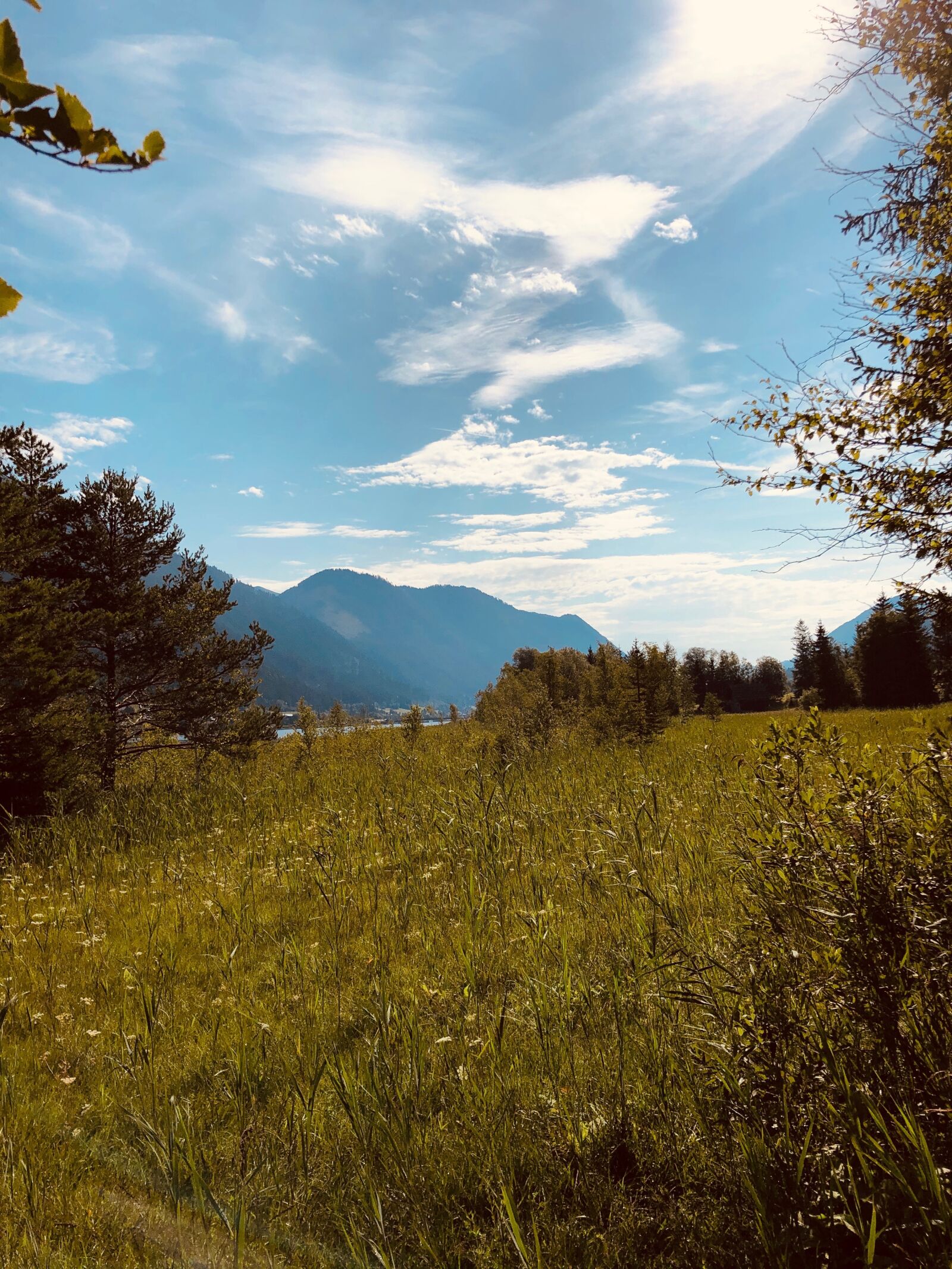 Apple iPhone X sample photo. Mountains, meadow, nature photography