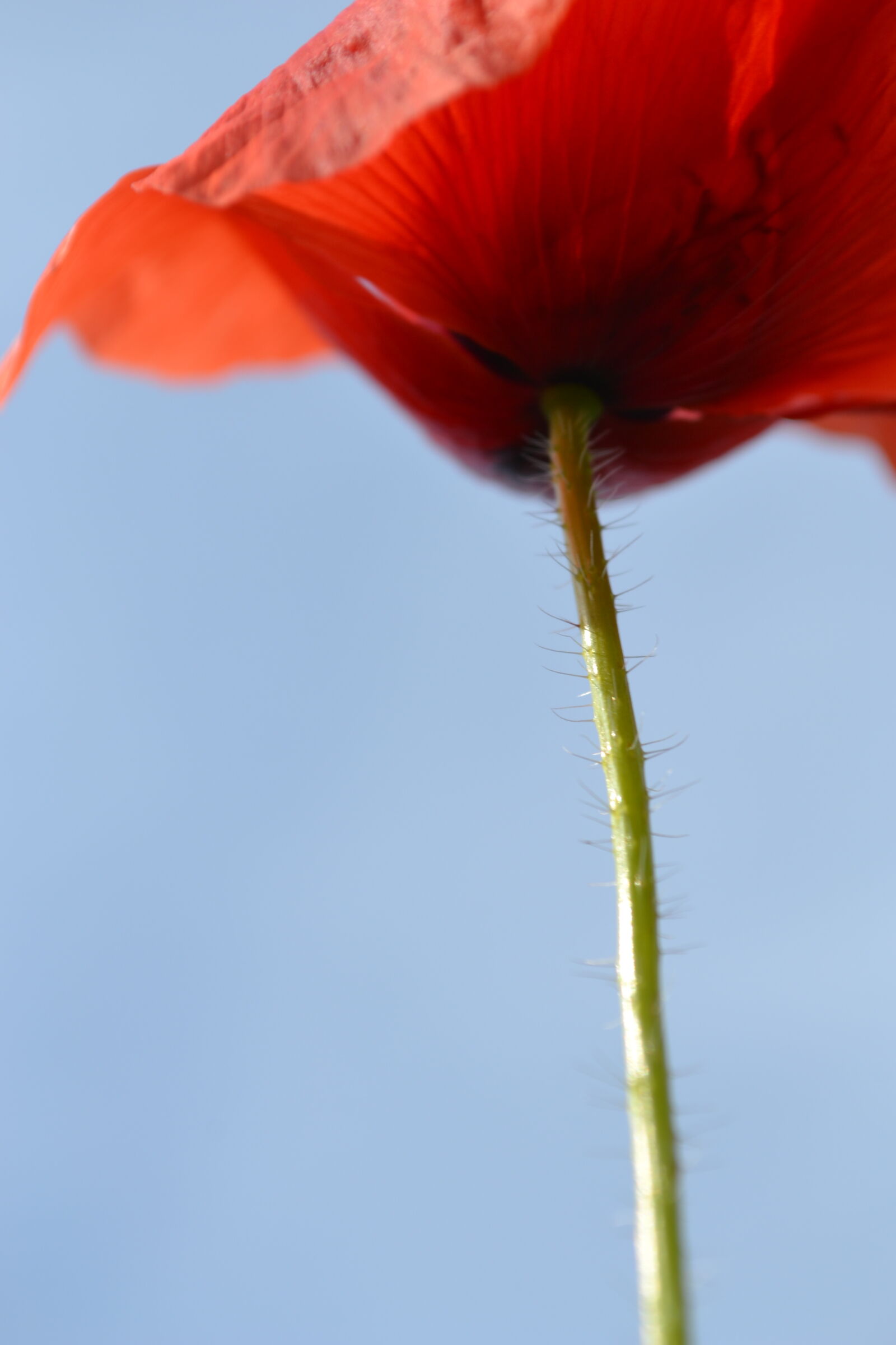 Nikon D3100 sample photo