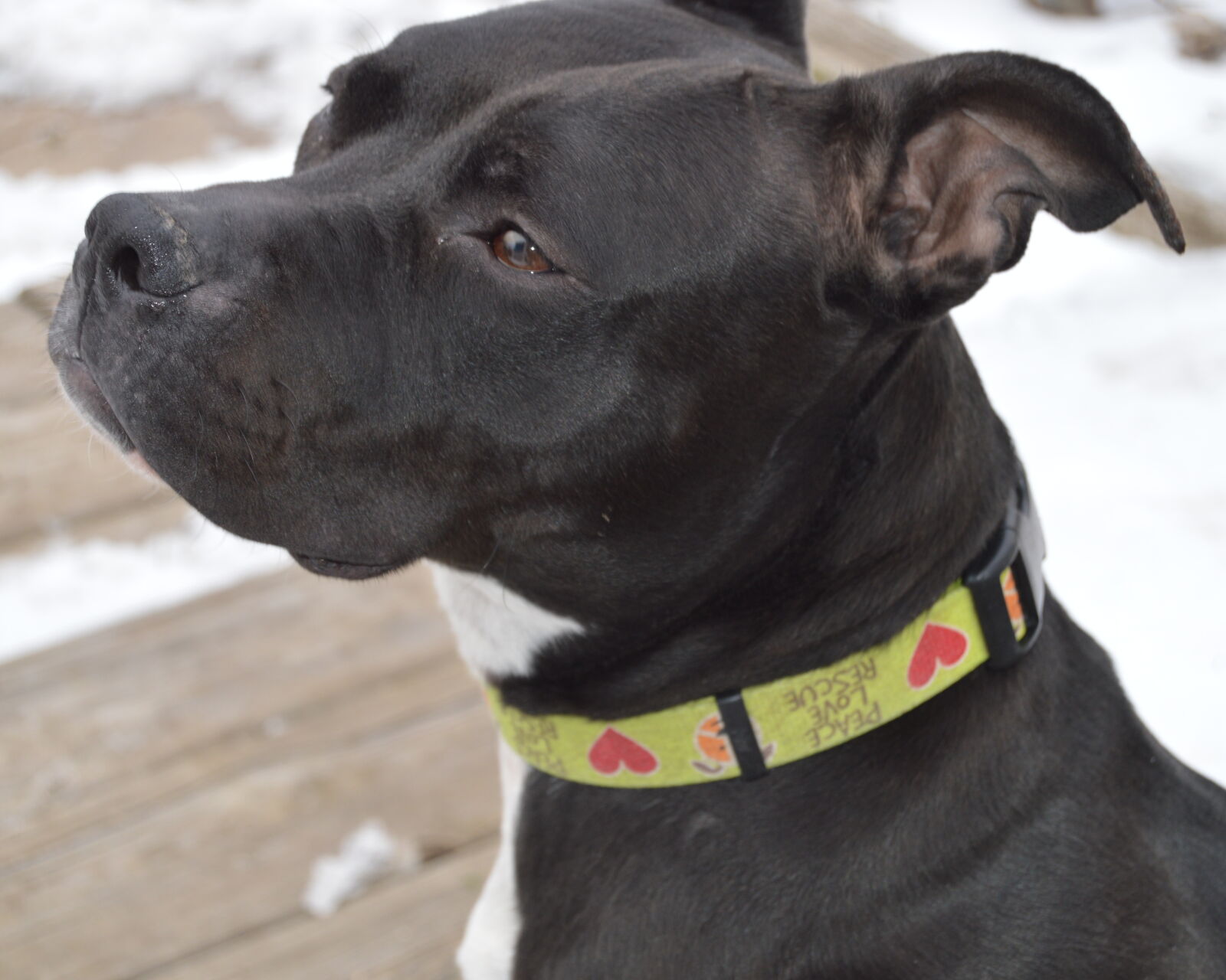 Nikon D3200 sample photo