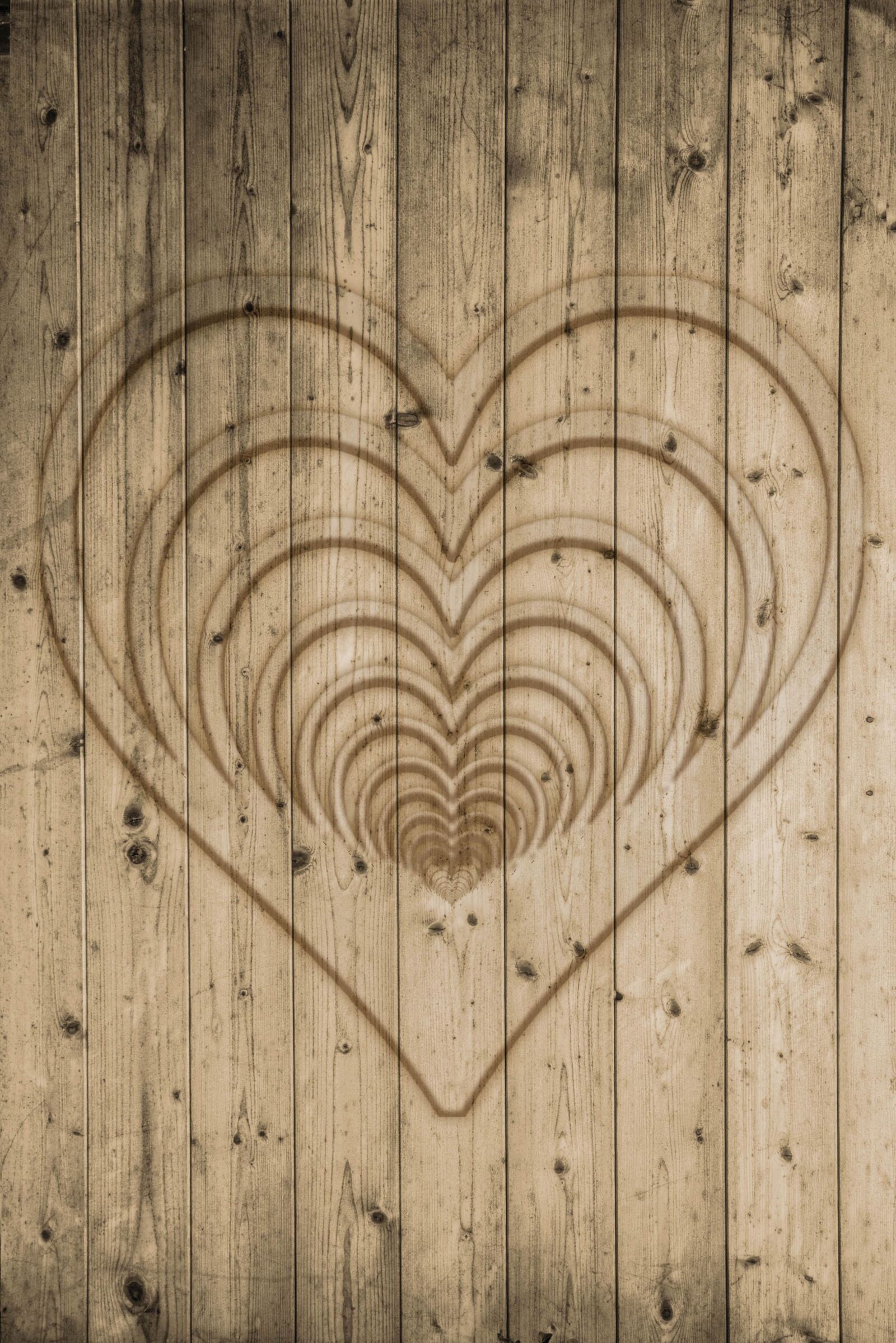 Canon EF-S 18-200mm F3.5-5.6 IS sample photo. Wood, boards, wall photography