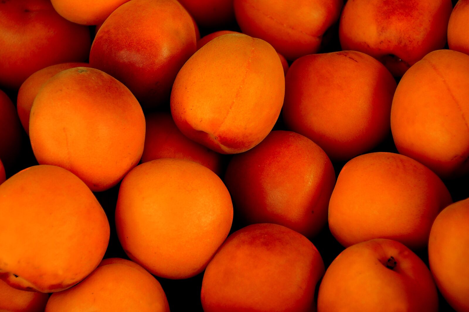 Nikon D3200 sample photo. Apricot, tropical fruit, fruit photography