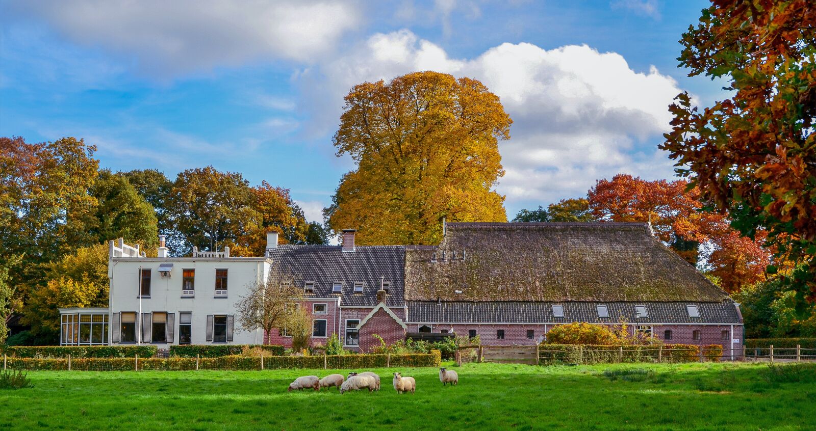 Nikon D7000 sample photo. Landscape, nature, autumn photography