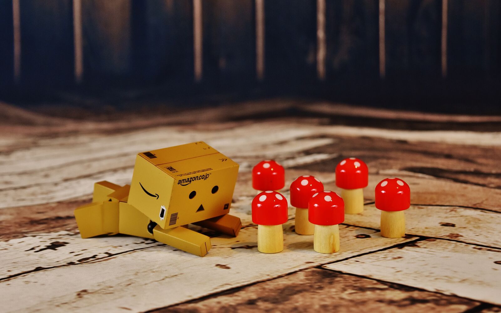 Nikon D7200 sample photo. Luck mushrooms, danbo, figure photography