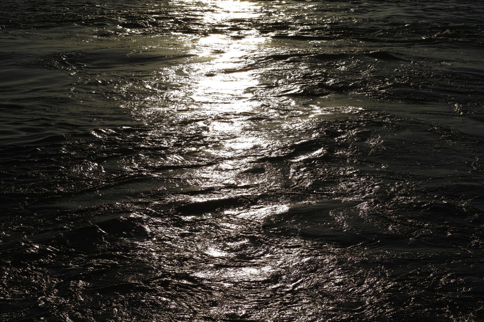 Sigma DP3 Merrill sample photo. Light, marine, water photography