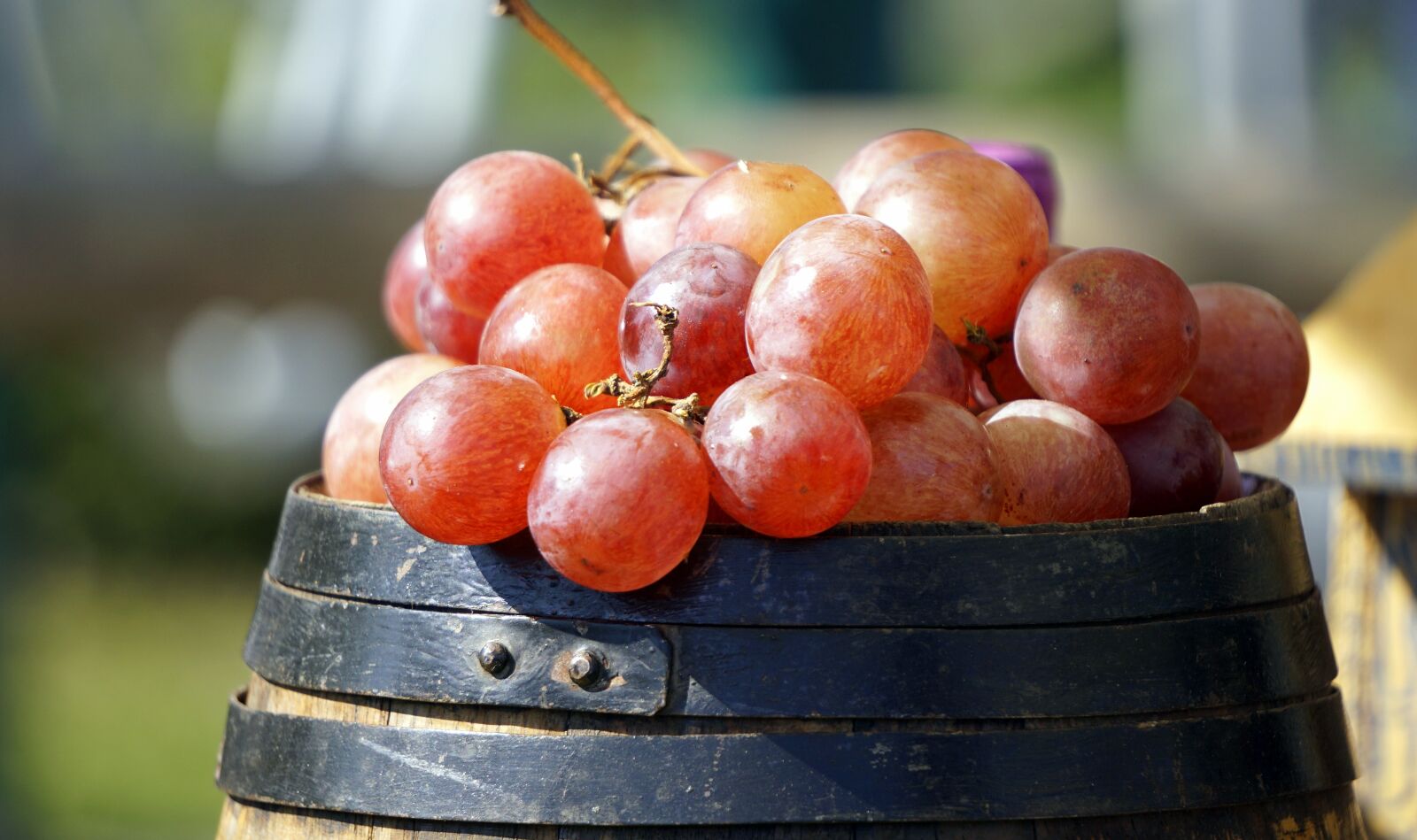 Sony E 55-210mm F4.5-6.3 OSS sample photo. Fruit, food, healthy photography