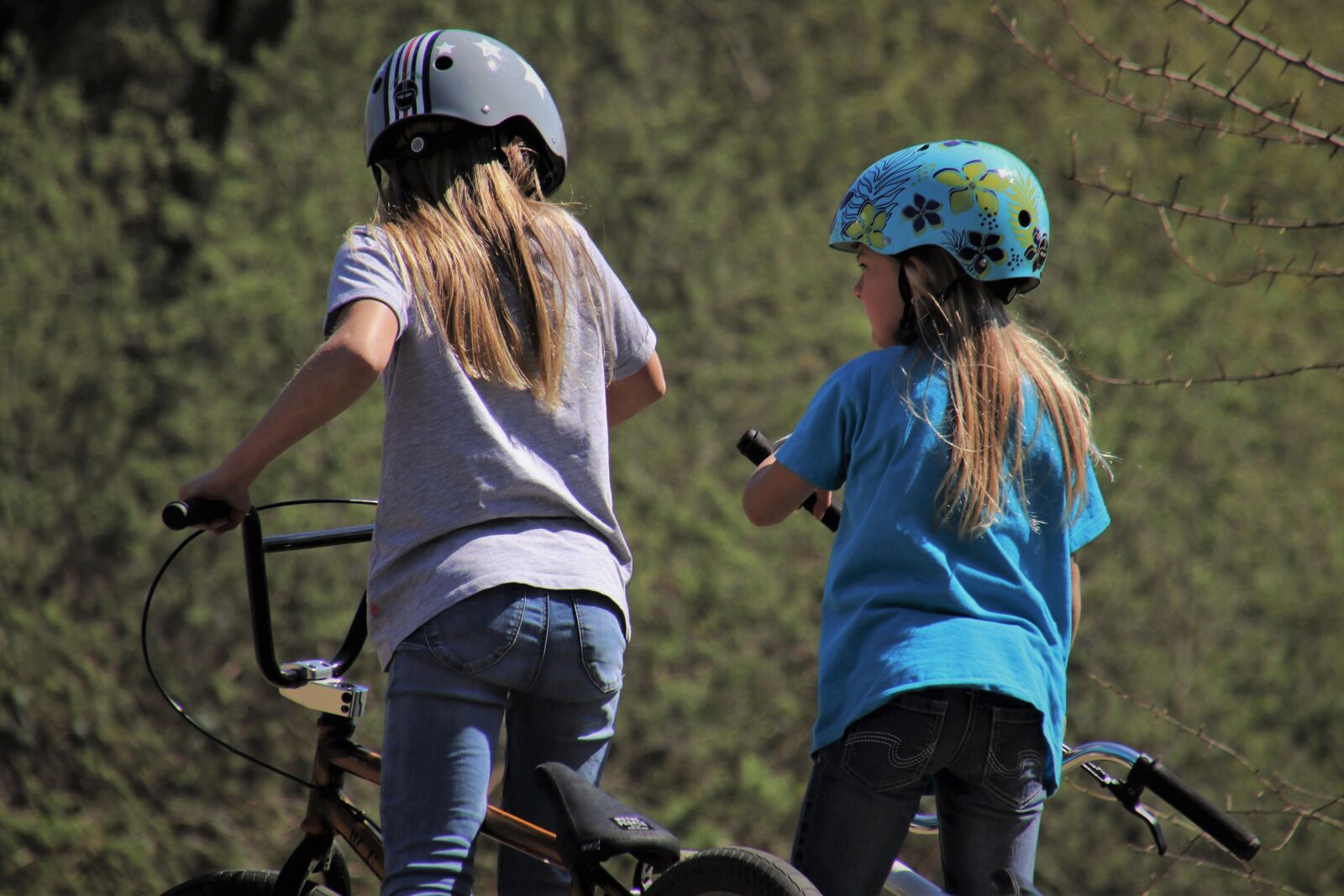 Canon EOS 80D sample photo. Bikepark, bike, bmx photography