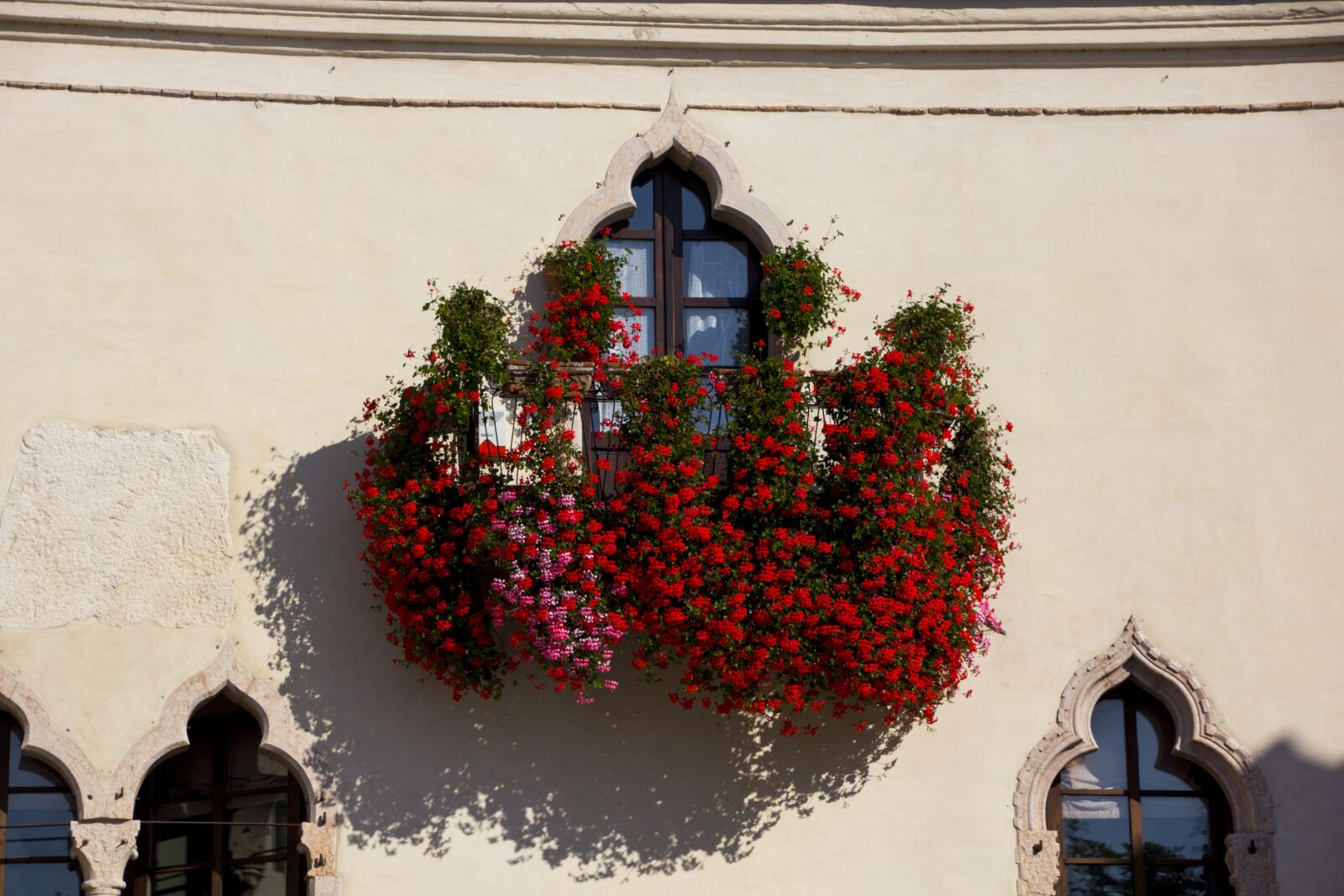 Canon EOS 60D sample photo. Italy, garda, flower photography