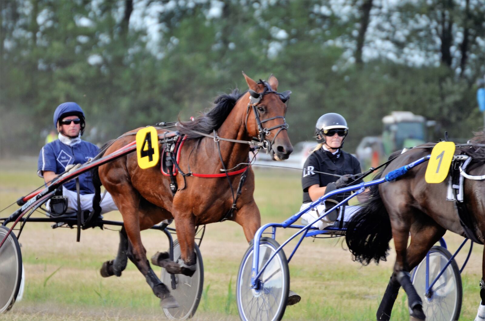 Nikon D5100 sample photo. Trotting, sulky, equestrian photography