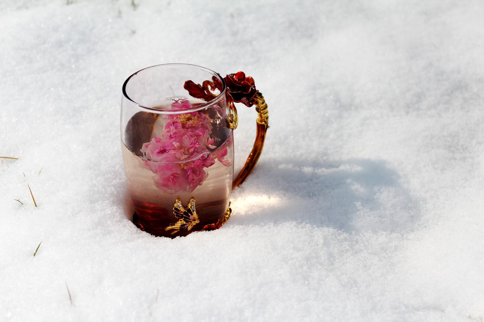 Canon EOS 600D (Rebel EOS T3i / EOS Kiss X5) sample photo. Tea rose corolla, enamel photography