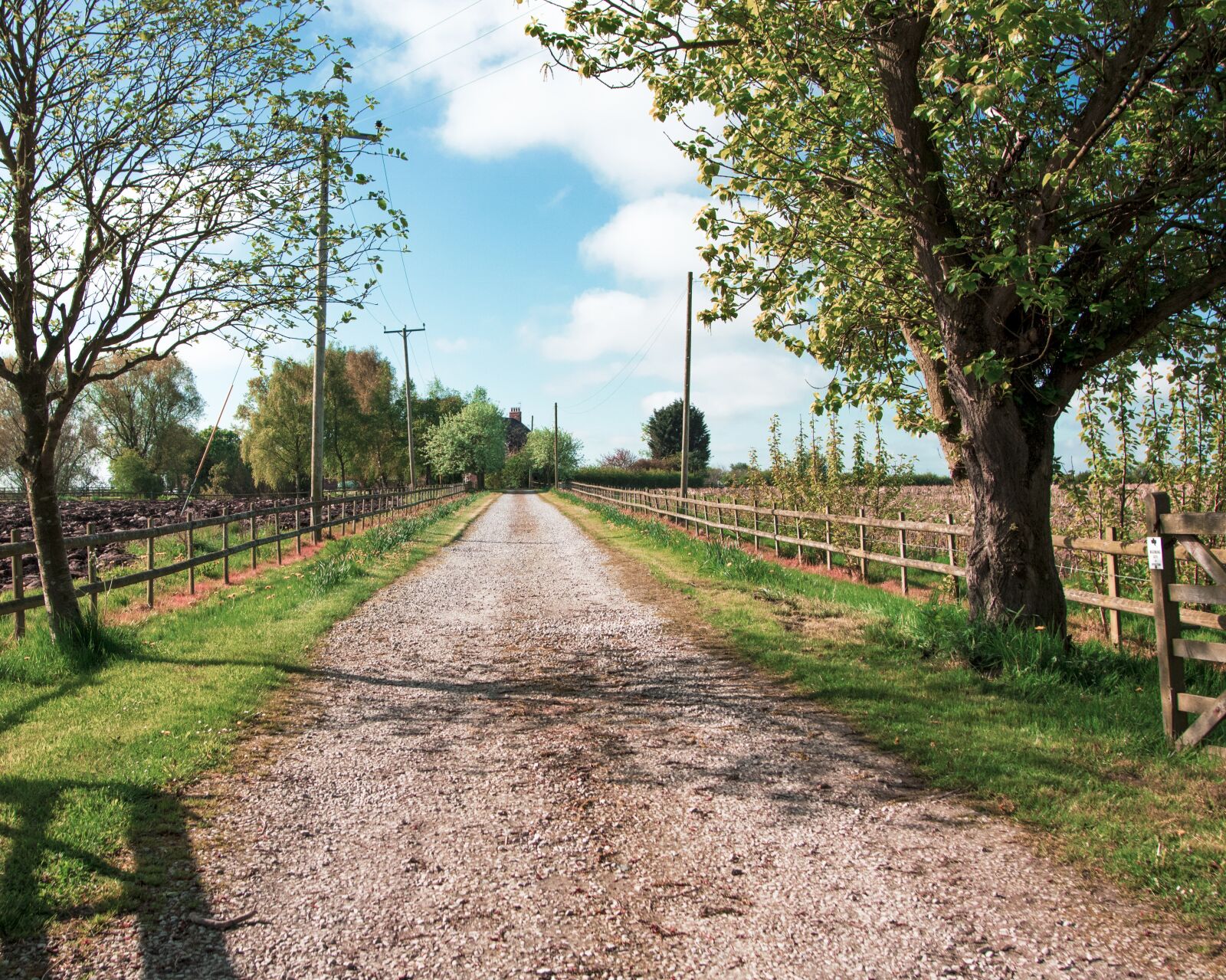 Canon EOS 750D (EOS Rebel T6i / EOS Kiss X8i) sample photo. Spring, farm, nature photography