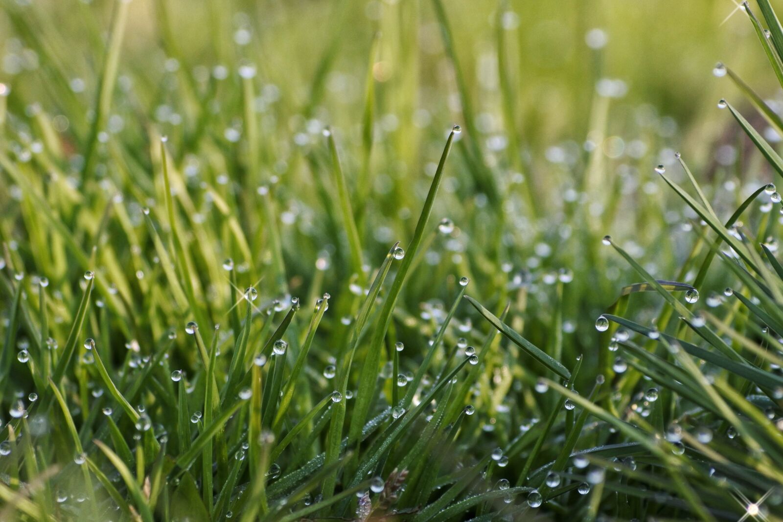 Nikon 1 J5 + VR 55-200mm f/4-5.6G sample photo. Natural, landscape, morning photography