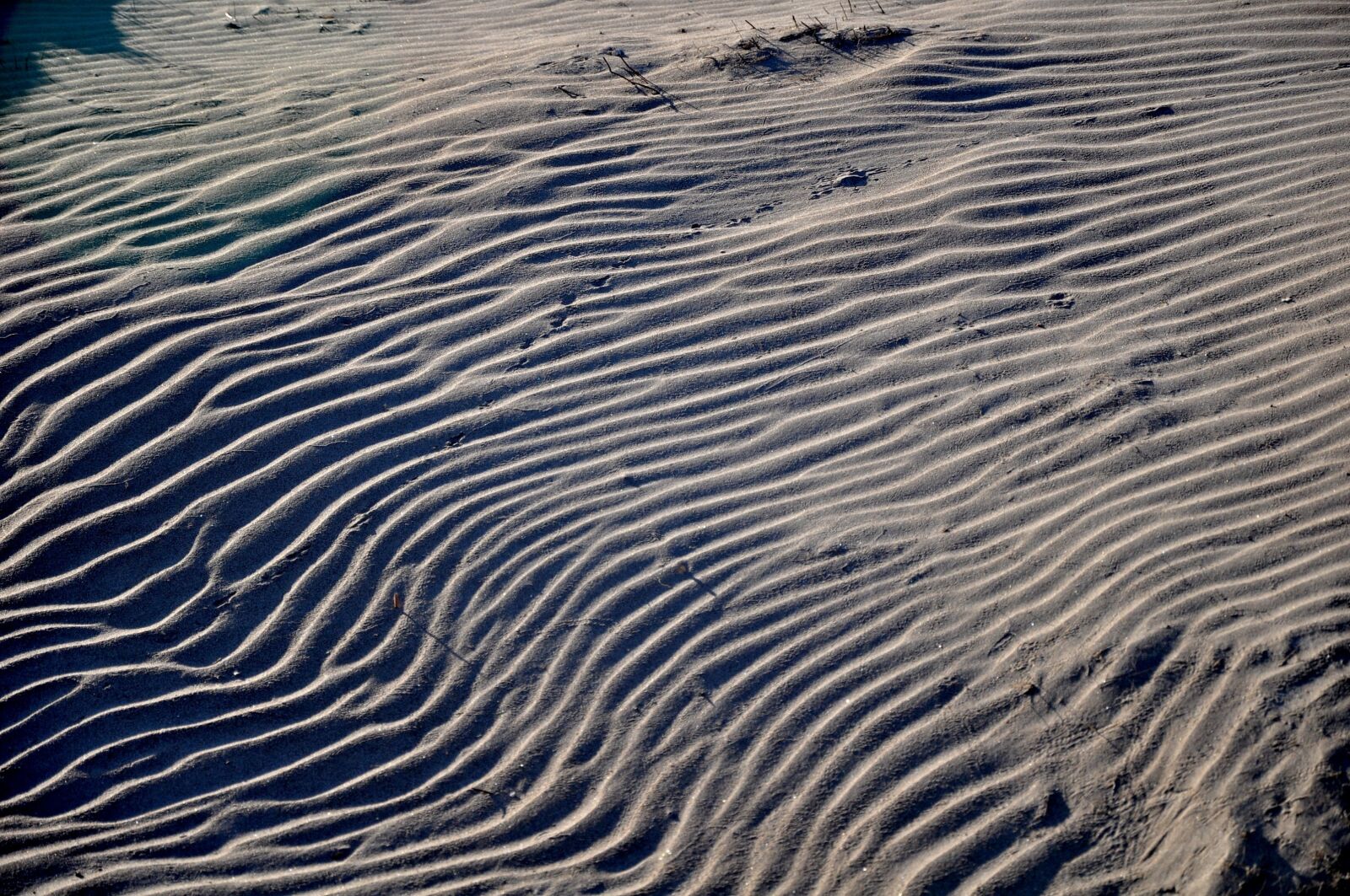 Nikon D5000 sample photo. Sand, beach, pattern photography