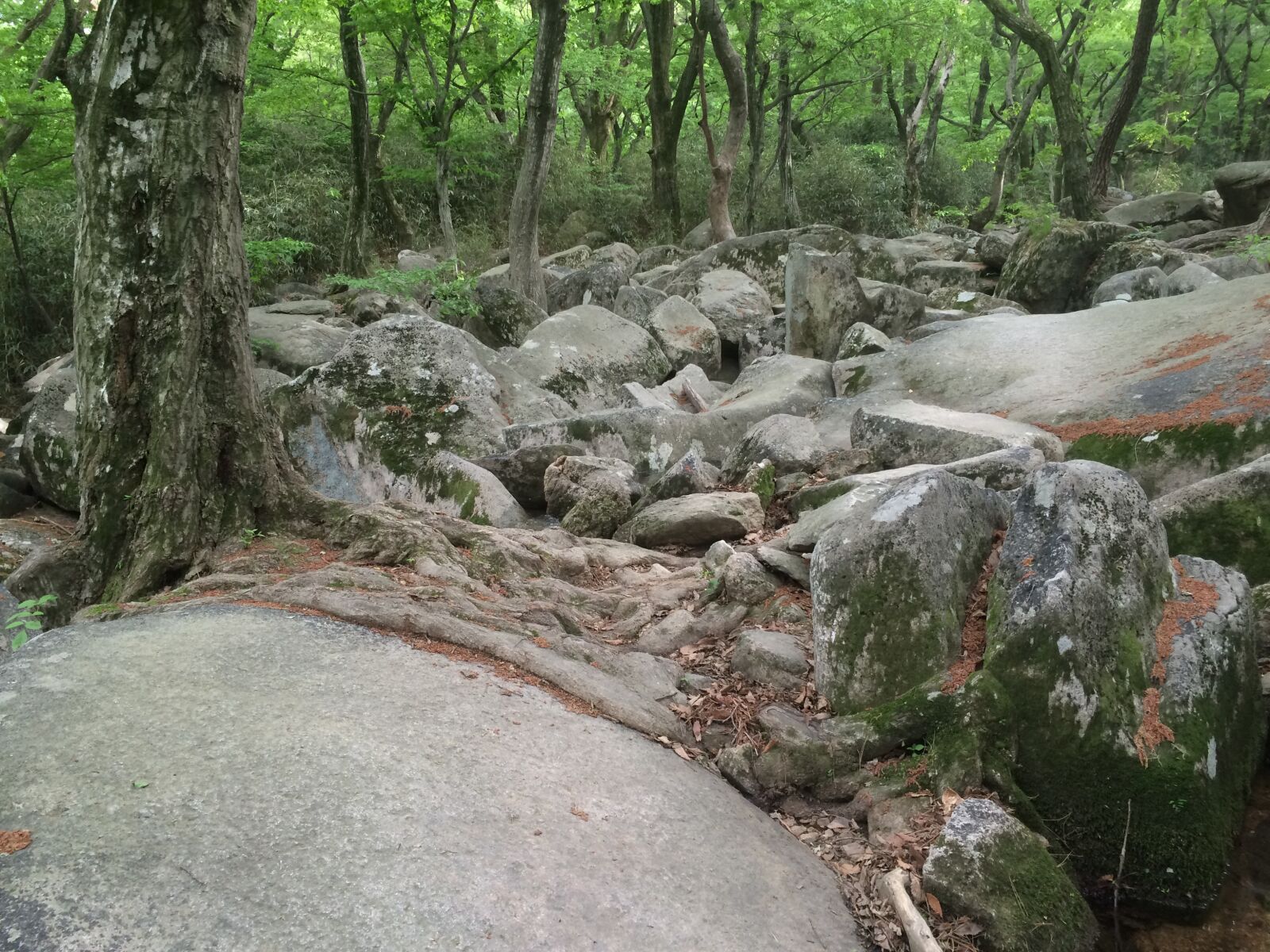 iPhone 5s back camera 4.15mm f/2.2 sample photo. Landscape, rock, mountain photography