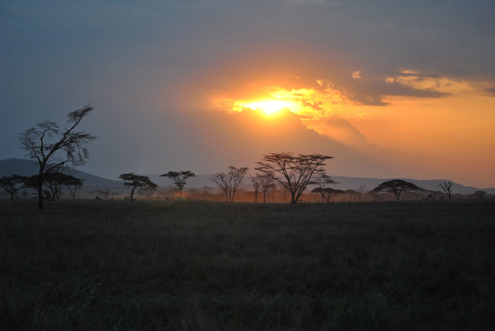 Nikon D3000 sample photo. Africa, tanzania, national park photography